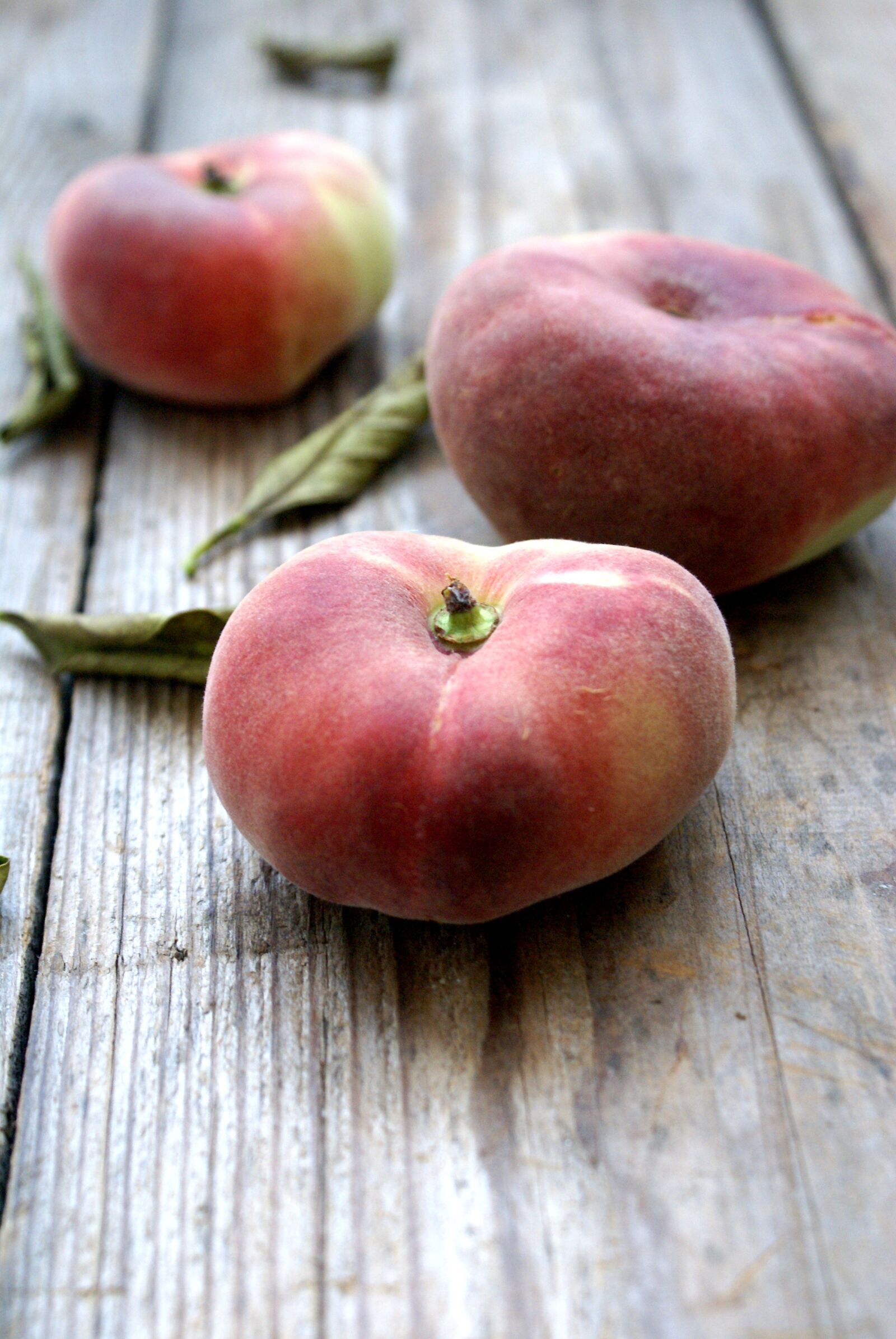 Sony Alpha DSLR-A100 sample photo. Vineyard peaches, peaches, fruit photography