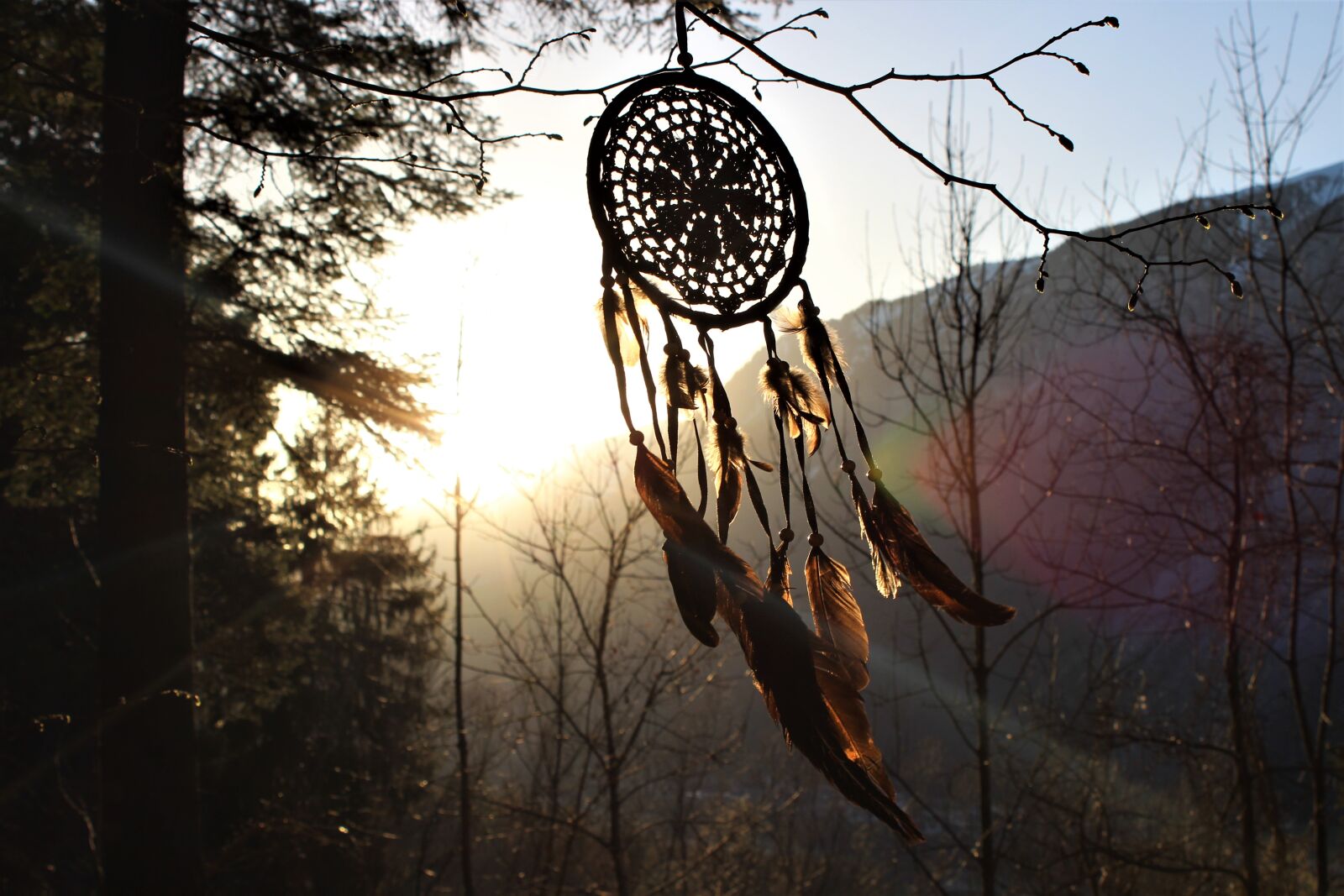 Canon EOS 600D (Rebel EOS T3i / EOS Kiss X5) sample photo. Dream catcher, feather, sunset photography