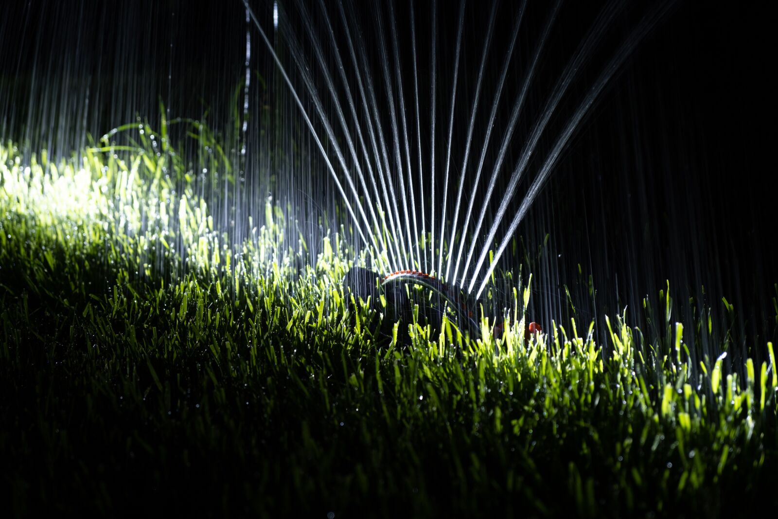 Fujifilm X-T3 + Fujifilm XF 18-55mm F2.8-4 R LM OIS sample photo. Water, watering, lawn photography