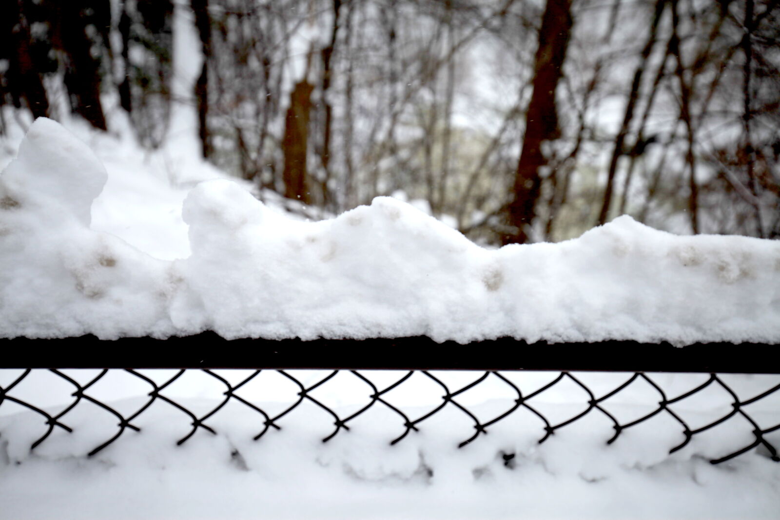 Canon EOS 5D Mark II + Canon EF 16-35mm F4L IS USM sample photo. Snowadornedfence photography