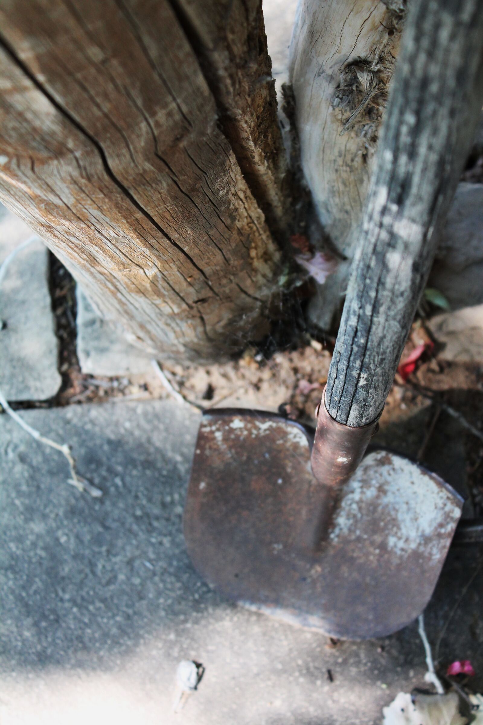Canon EOS 1100D (EOS Rebel T3 / EOS Kiss X50) sample photo. Shovel, garden, summer photography