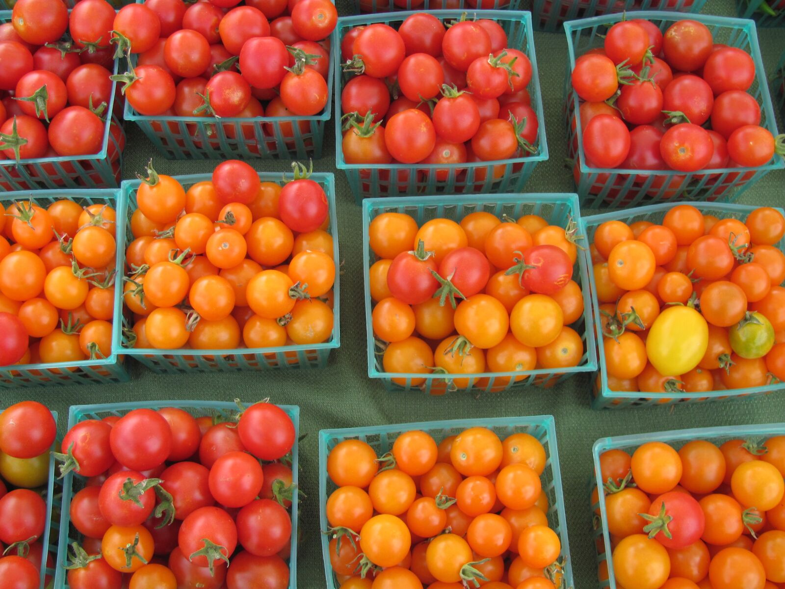 Canon PowerShot SX120 IS sample photo. Tomatoes, farmers market, healthy photography