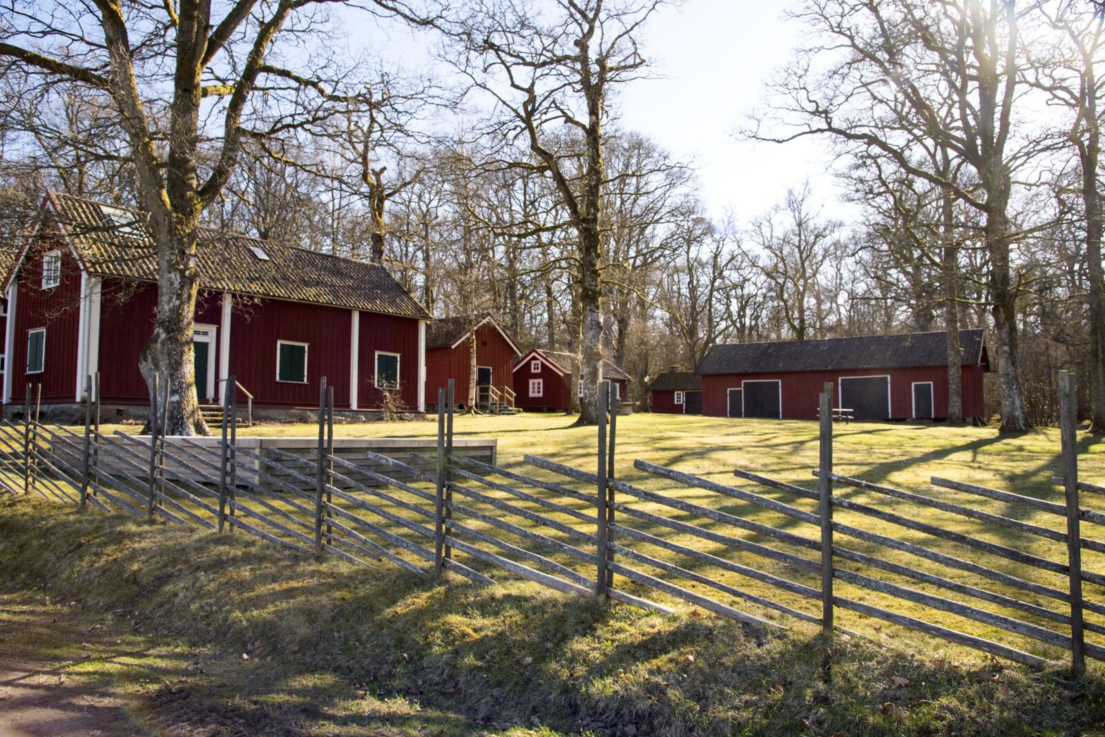 Nikon D750 sample photo. Fence, wood, tree photography