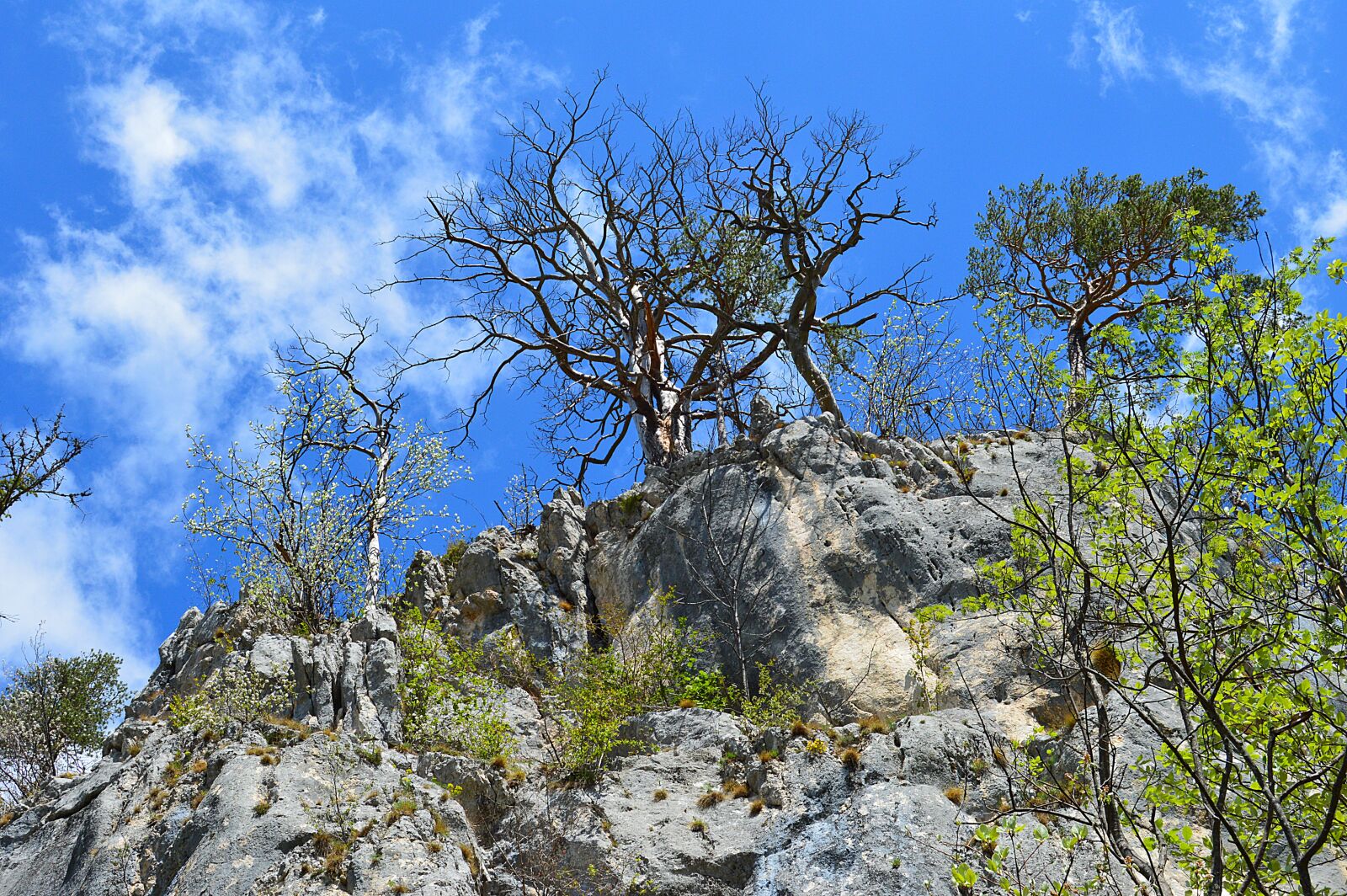 Nikon D3200 sample photo. Schwarzau, mountains, lower austria photography