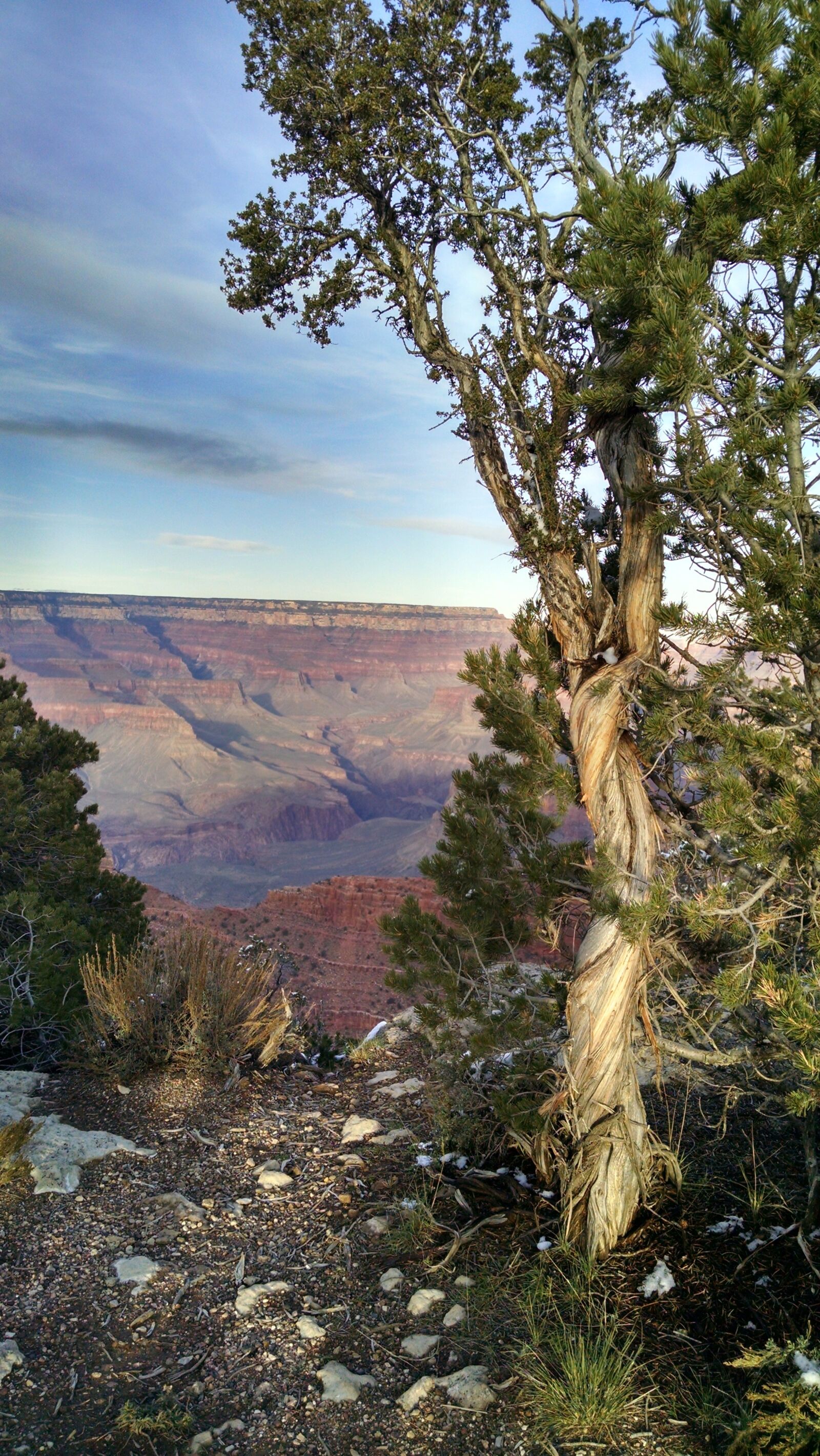 Motorola XT1080 sample photo. Grand canyon south rim photography