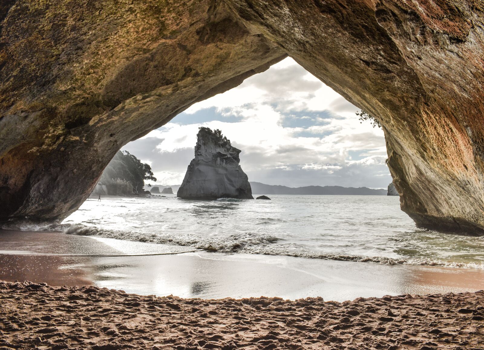 Nikon D5600 sample photo. New zealand, north island photography