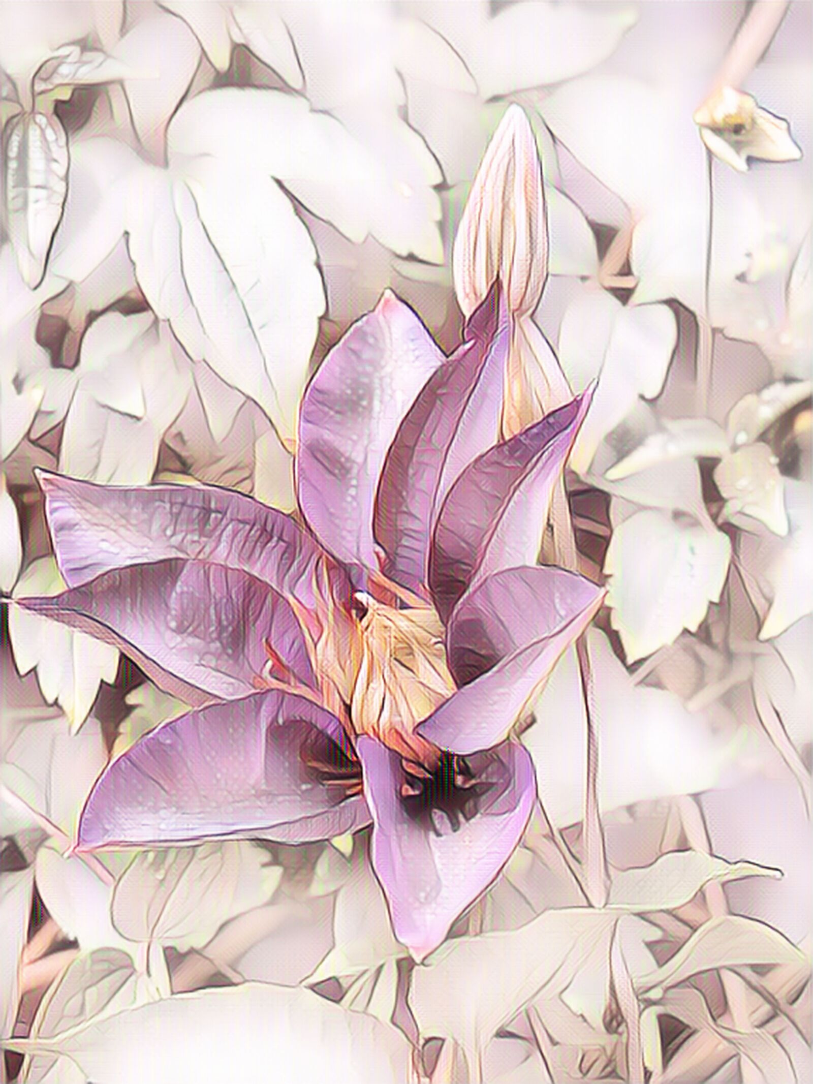 Canon PowerShot G15 sample photo. Clematis, pastel, climber plant photography