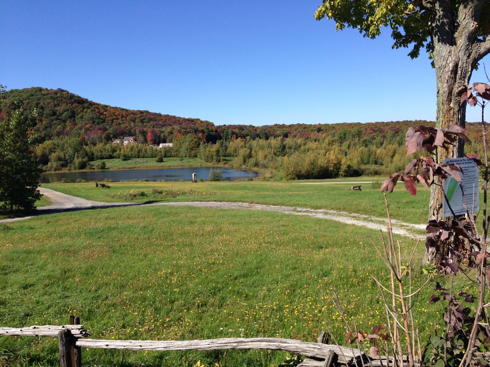 iPhone 5 back camera 4.12mm f/2.4 sample photo. Autumn landscape, mountain, water photography