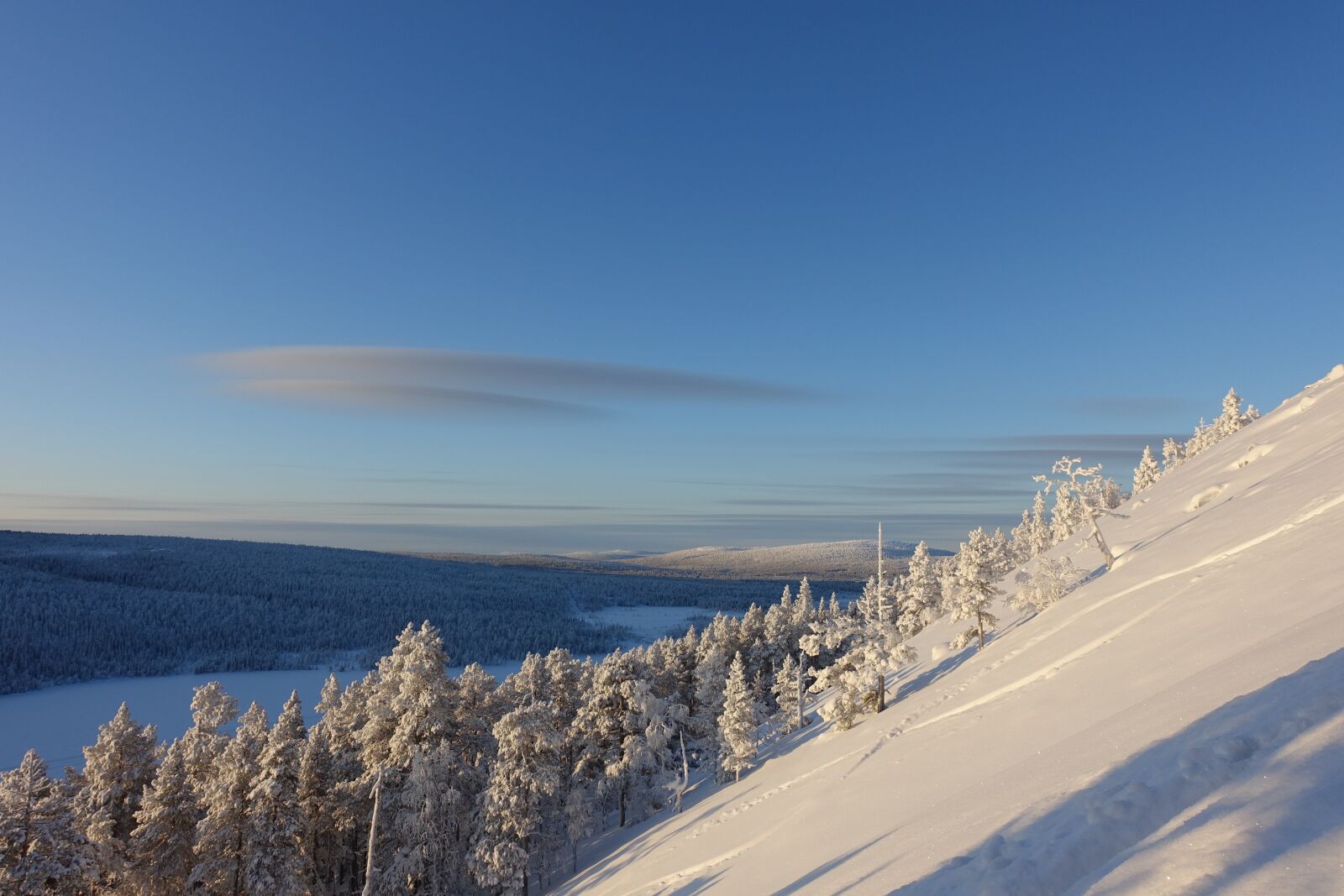 Sony Cyber-shot DSC-RX100 III sample photo. Snow, landscape, winter photography