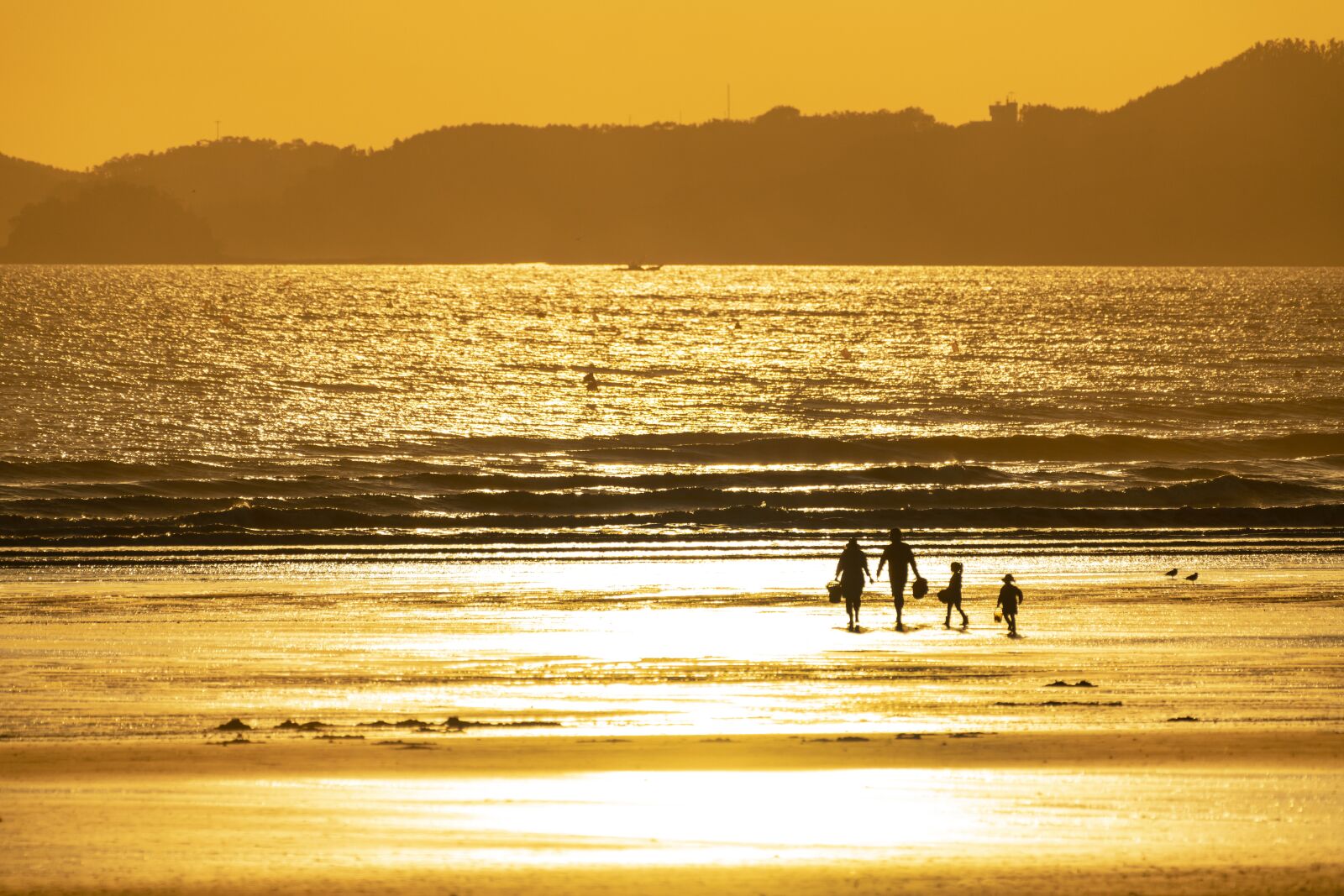 Nikon D850 sample photo. Beach, sunset, sea photography