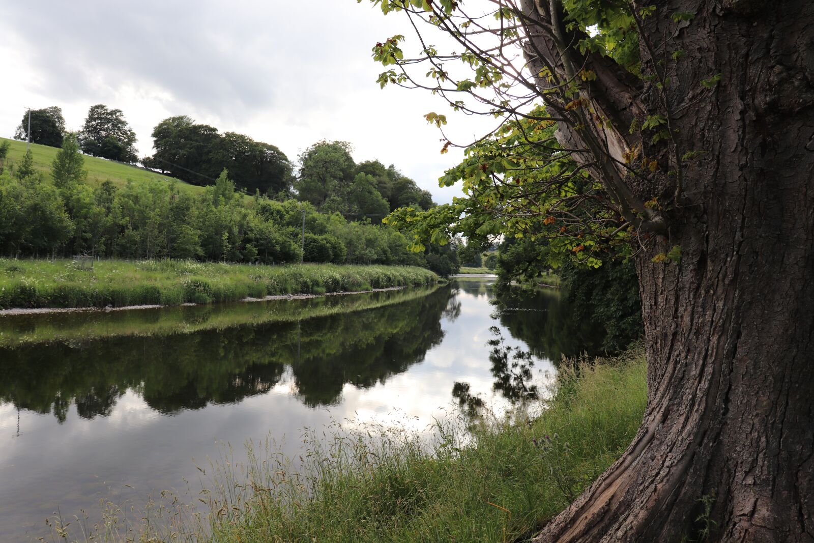 Canon EOS 77D (EOS 9000D / EOS 770D) sample photo. River, river bend, landscape photography