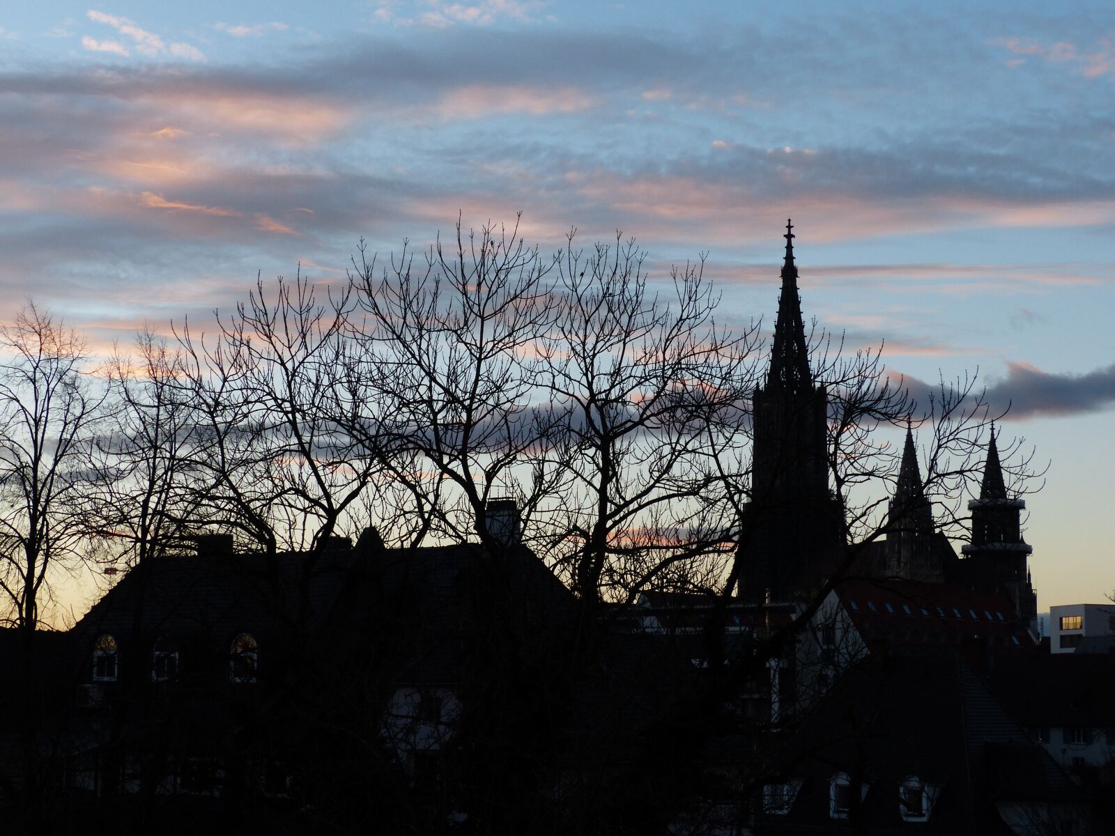 Panasonic Lumix DMC-FZ200 sample photo. Ulm cathedral, m nster photography