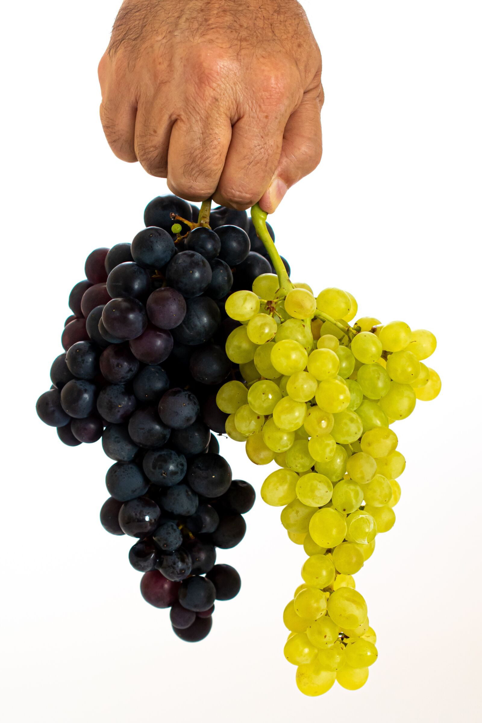 Nikon D5600 sample photo. Grapes, fruit, food photography