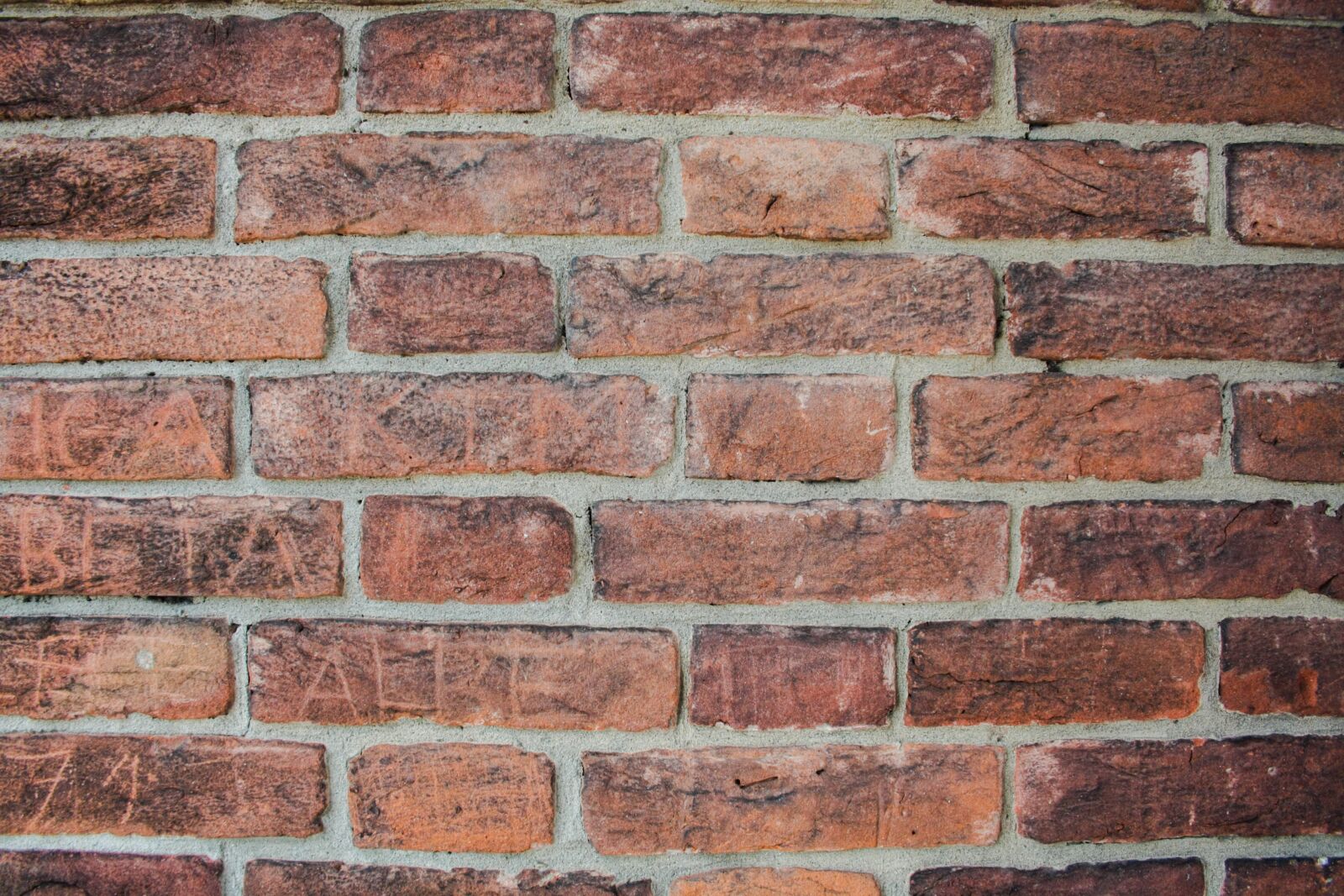 Canon EF-S 18-55mm F3.5-5.6 II sample photo. Wall, bricks, build photography