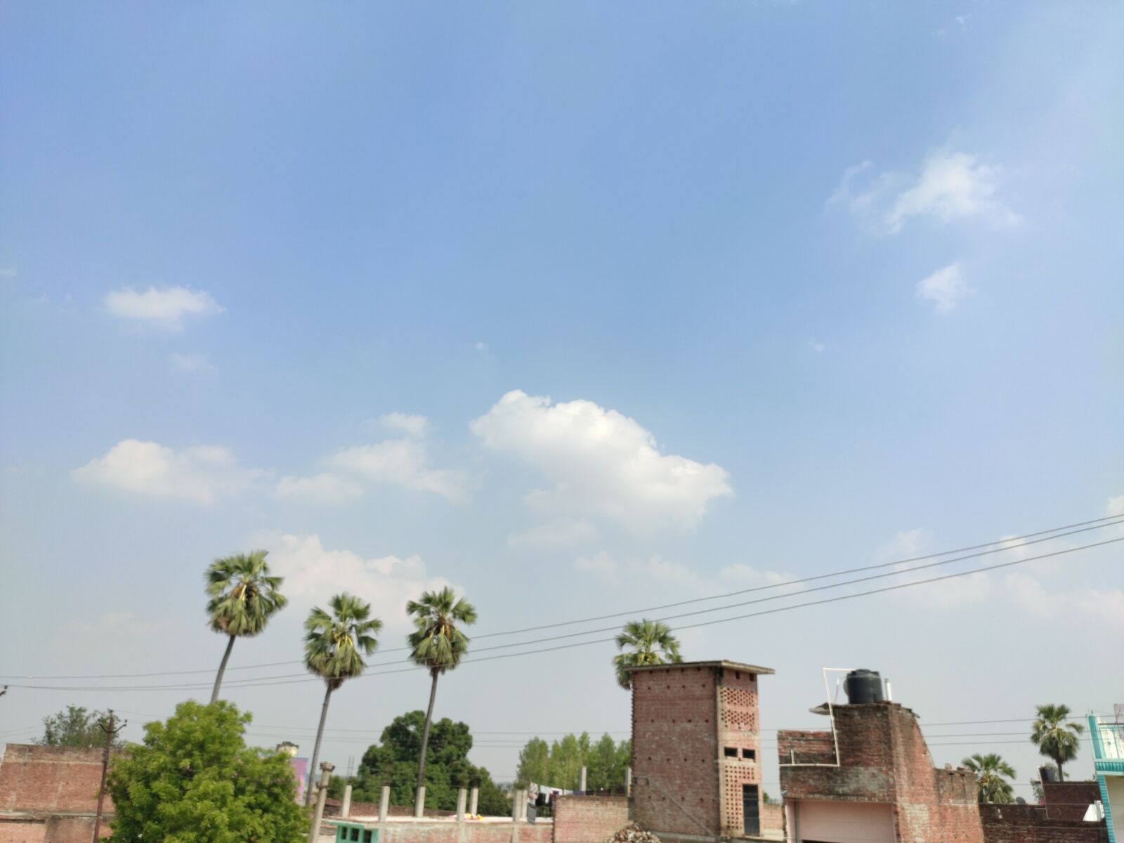 Xiaomi Redmi Note 7 Pro sample photo. Blue, sky, tree photography