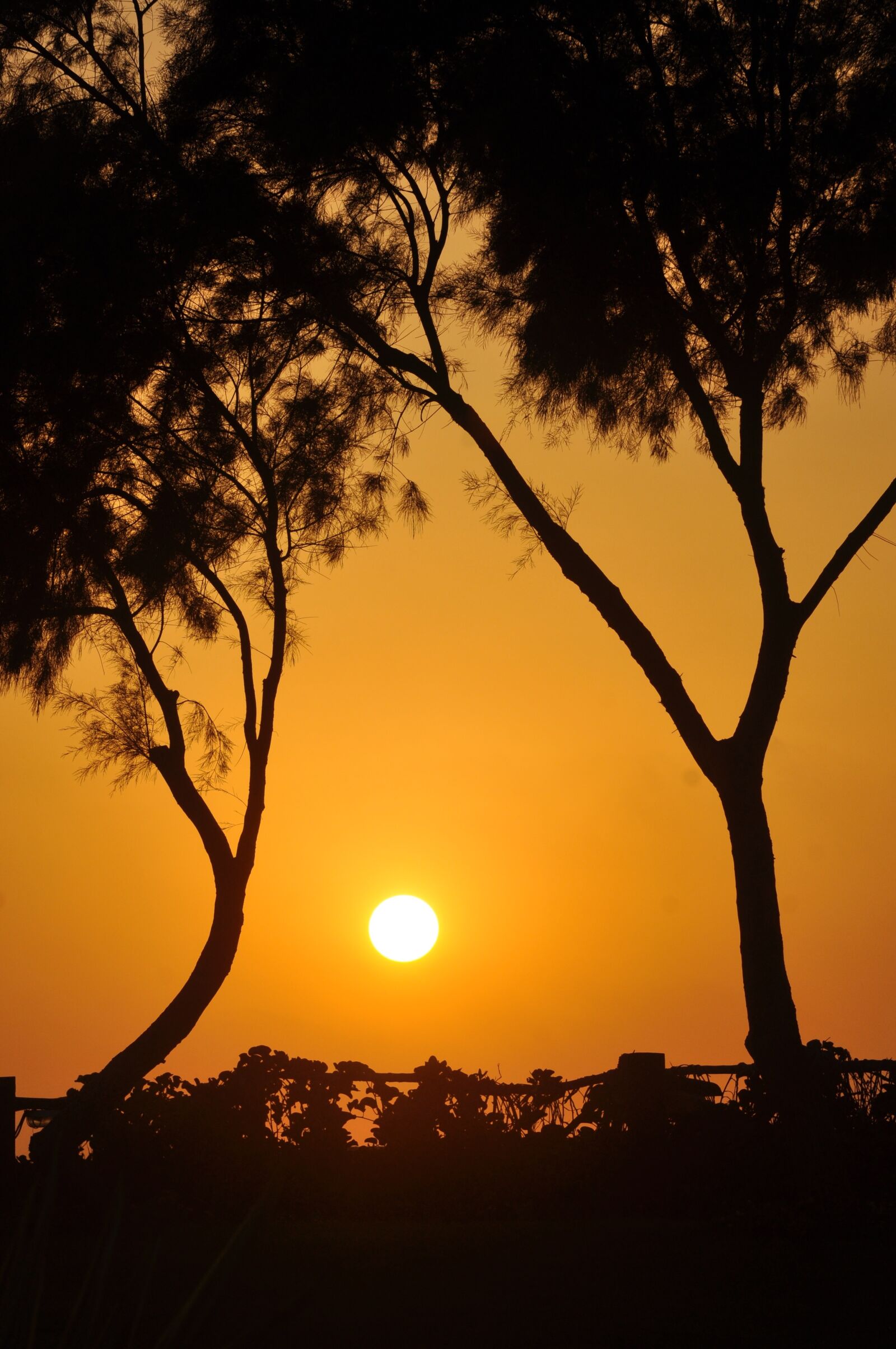 Nikon D90 sample photo. Sunset, nature, beach photography