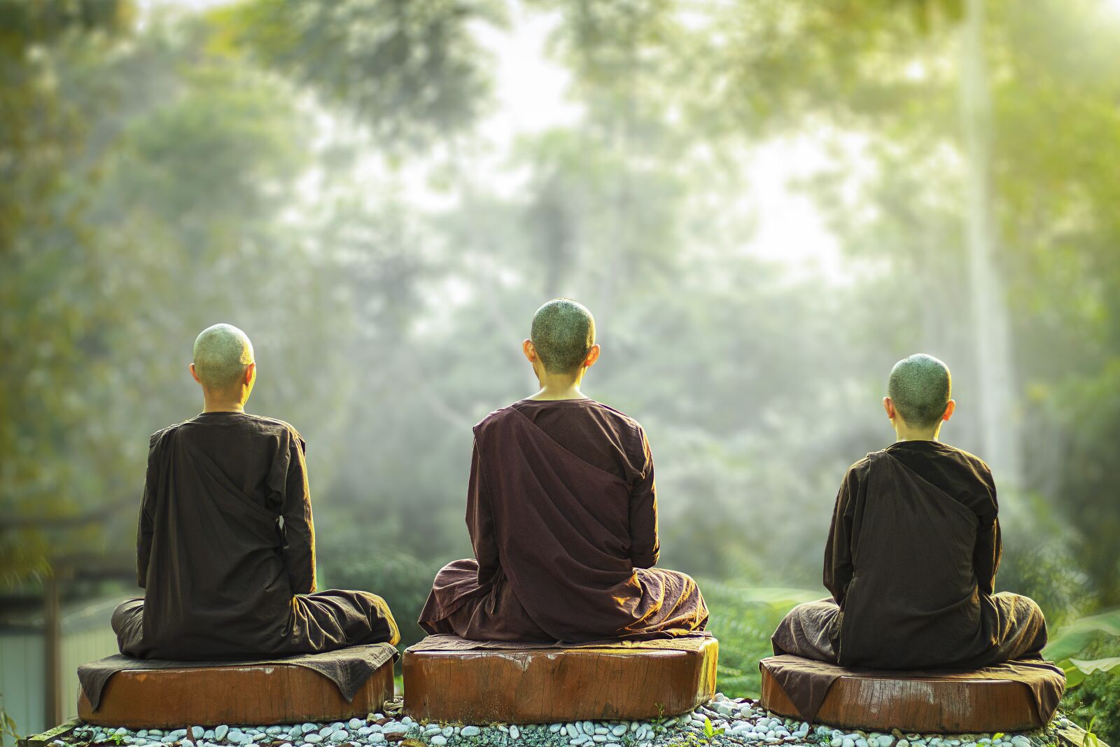 Canon EF 50mm F1.8 STM sample photo. Theravada buddhism, nuns, meditation photography