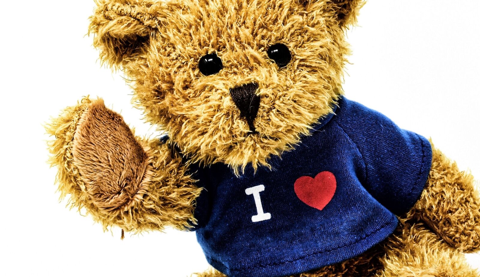 Nikon D7200 sample photo. Teddy, cute, soft toy photography