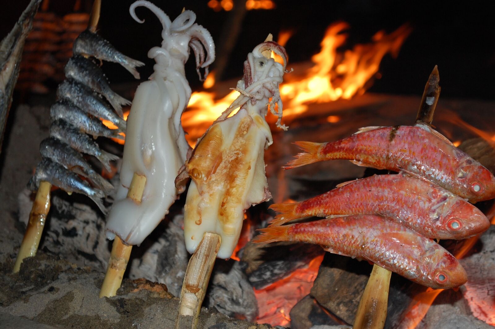 Nikon D40 sample photo. Spain, andalusia, costa del photography