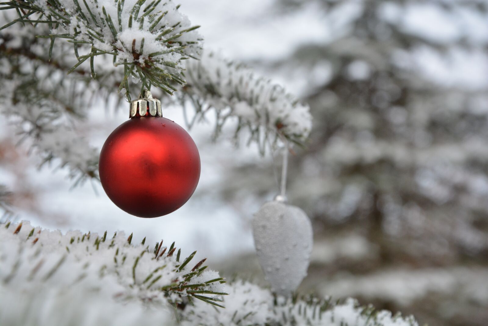 Nikon D5200 sample photo. Snow, winter, decoration photography