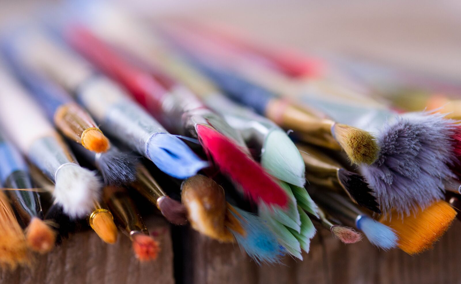 Nikon D3100 sample photo. Artistic, creative, brushes photography