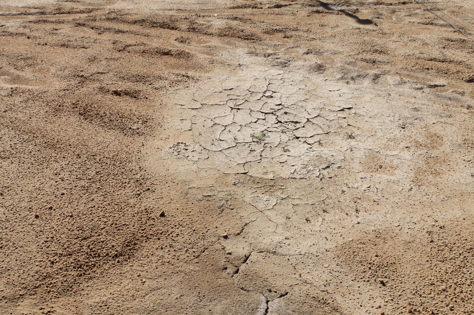 Canon EOS 1100D (EOS Rebel T3 / EOS Kiss X50) sample photo. Desert, dry, sand photography