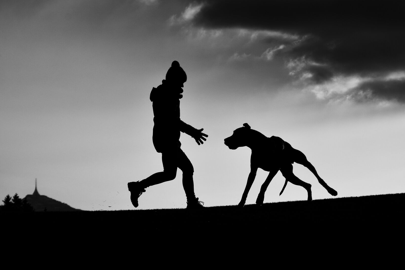 Nikon D5100 sample photo. Silhouette, man and dog photography