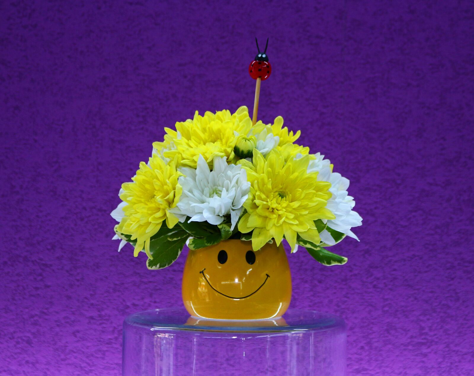 Canon EOS 700D (EOS Rebel T5i / EOS Kiss X7i) sample photo. Flower, nature, desktop photography