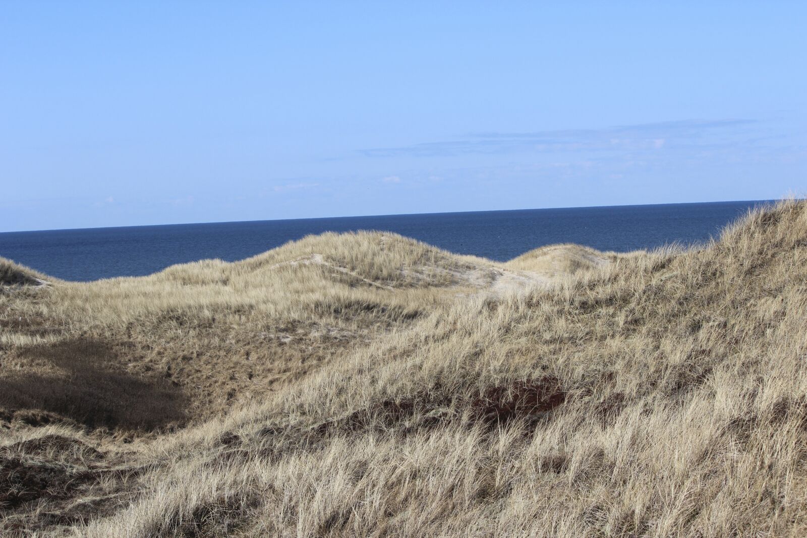 Canon EOS 600D (Rebel EOS T3i / EOS Kiss X5) sample photo. Dunes, dry, dune photography
