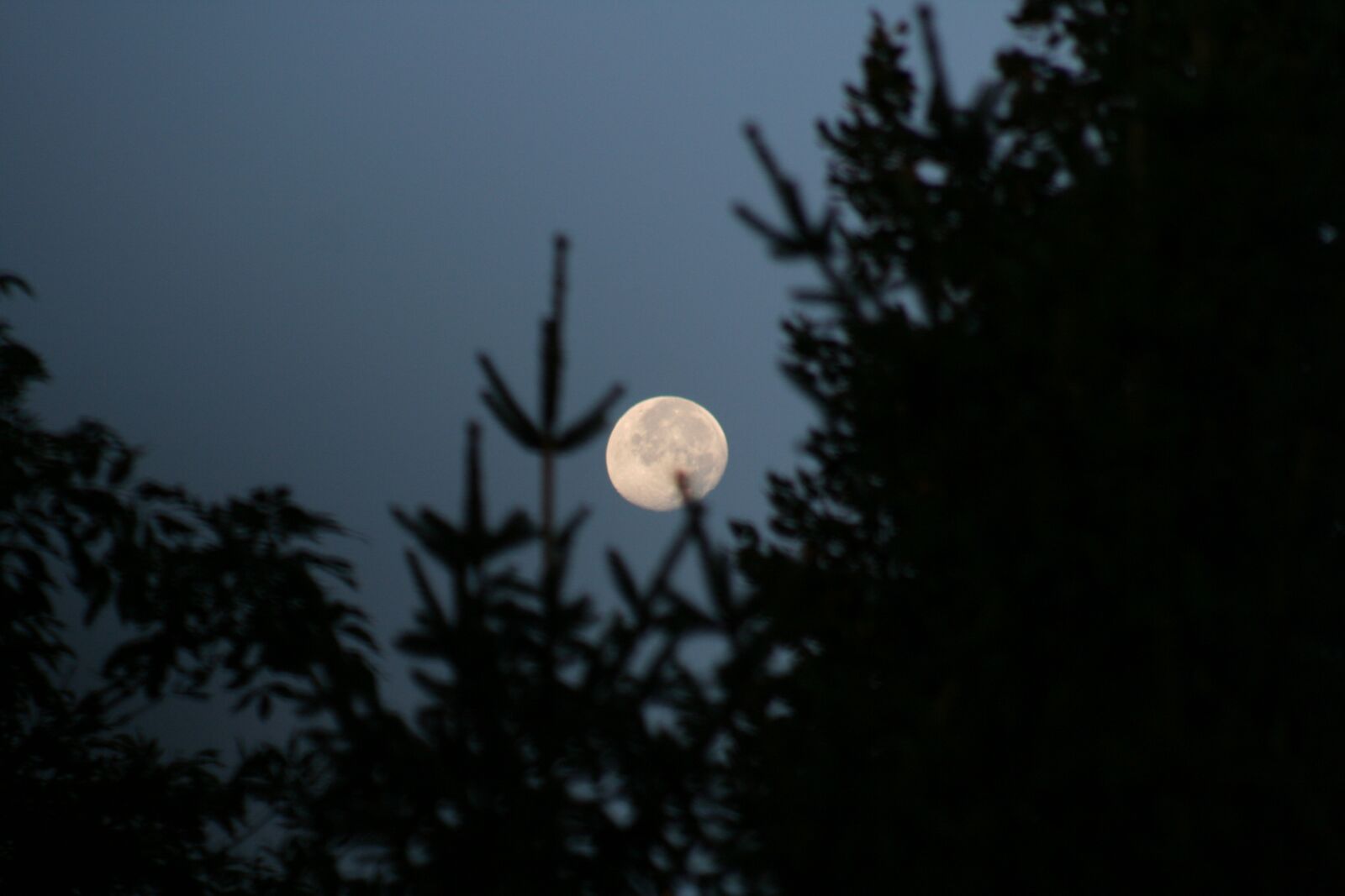 Canon EOS 350D (EOS Digital Rebel XT / EOS Kiss Digital N) sample photo. Moon, night, sky photography