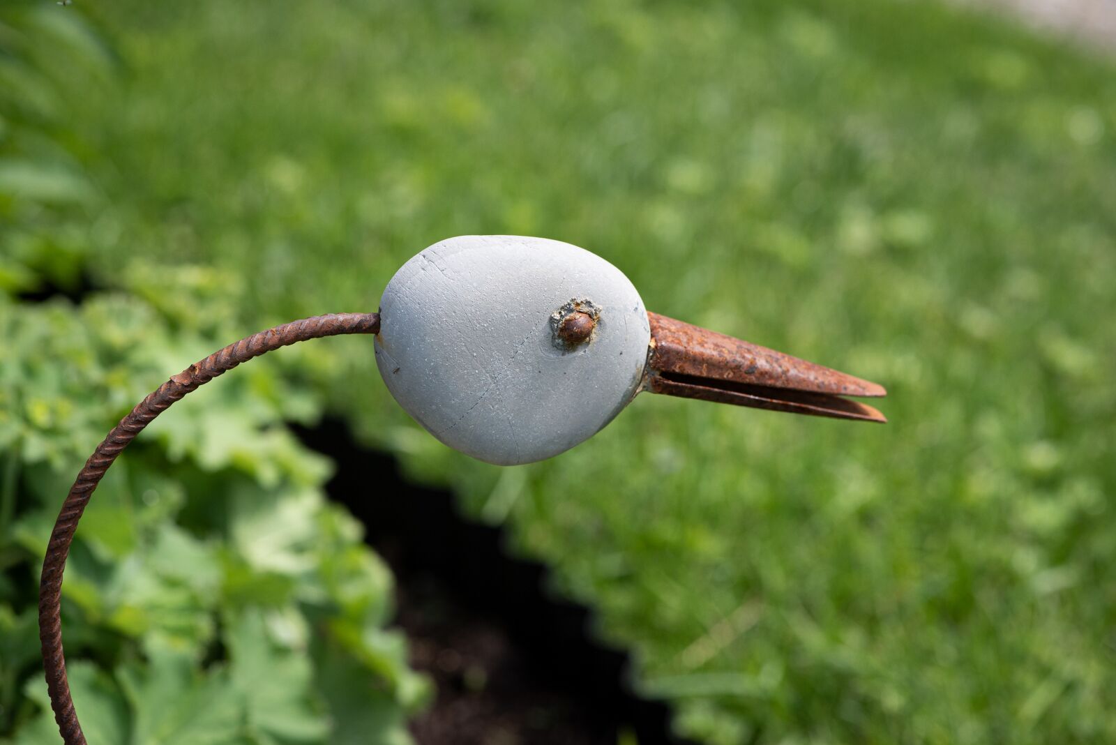 Nikon D750 sample photo. Deco, garden, bird photography