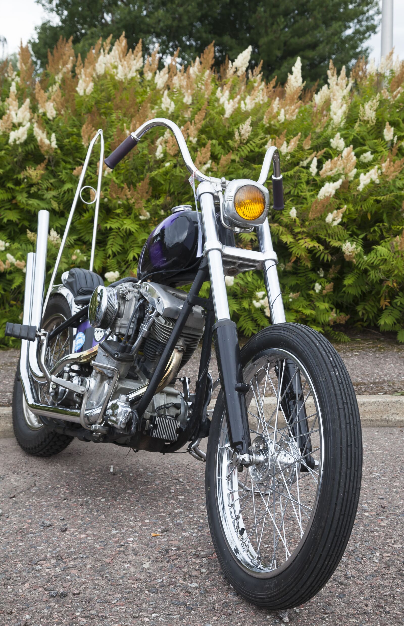 Canon EOS 5D Mark II sample photo. Motorcycle, constructed in it photography