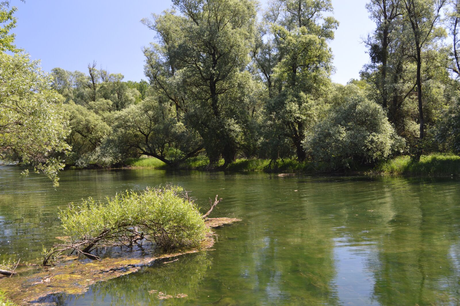 Nikon D3200 sample photo. Riparian zone, river landscape photography