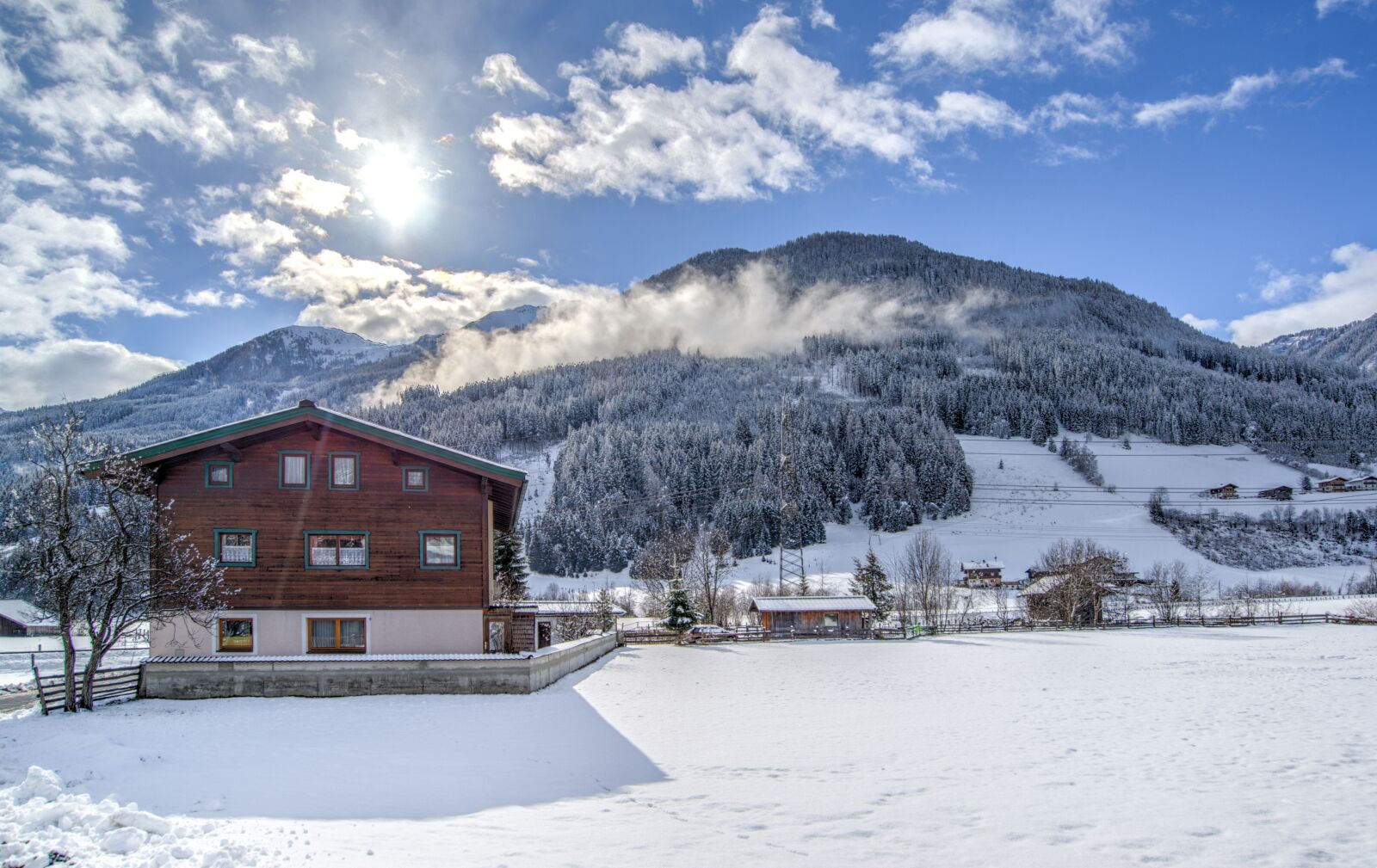 Nikon D610 sample photo. White, snow, forest photography