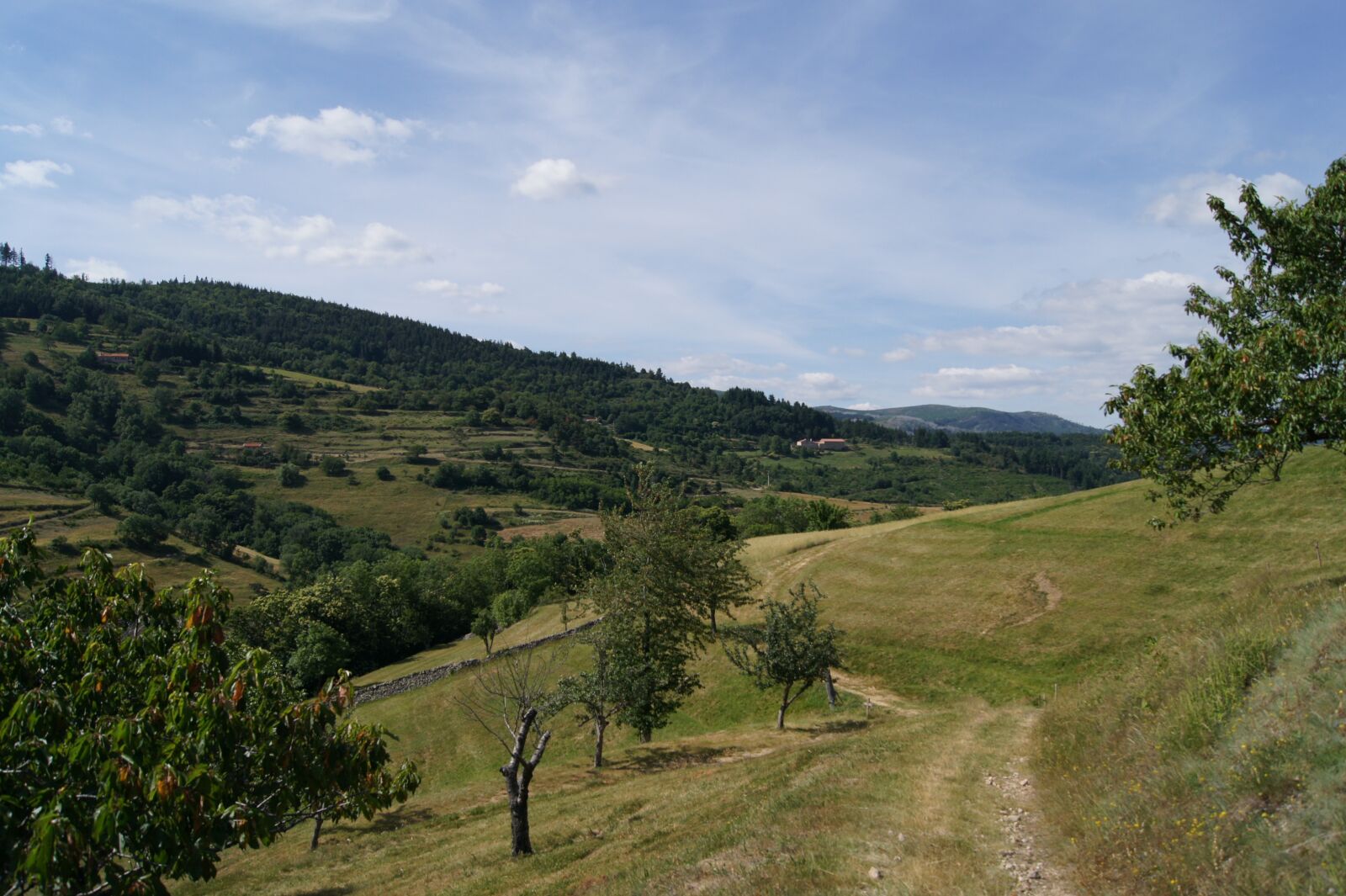 Sony Alpha DSLR-A450 sample photo. Landscape, ardèche photography