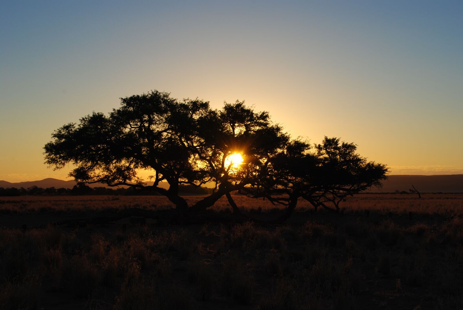 Nikon D3000 sample photo. Africa, sunset, namibia photography