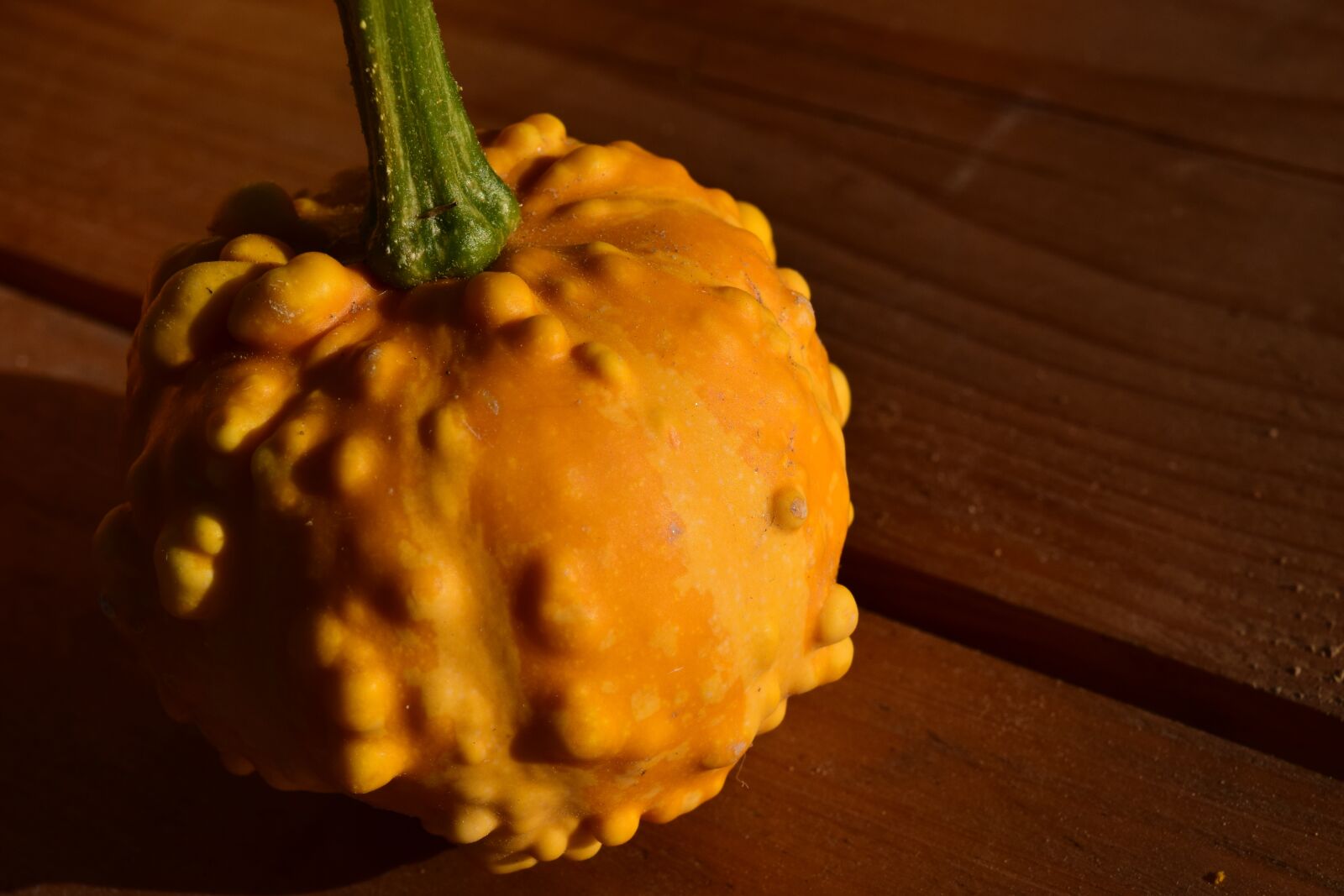 Nikon D3300 sample photo. Ornamental pumpkin, freestyle bite photography