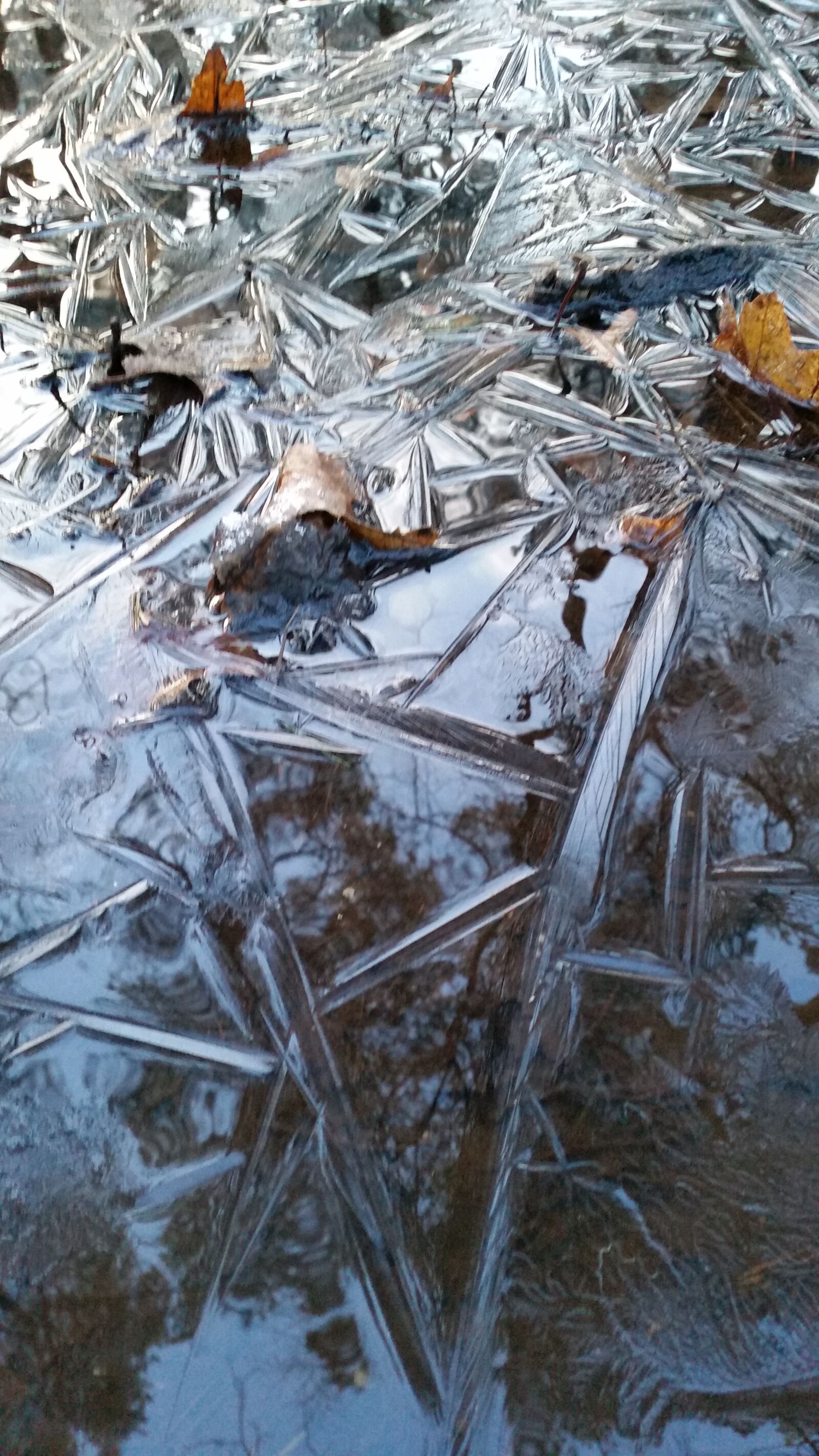 Samsung Galaxy S5 sample photo. Winter, frozen, ice photography