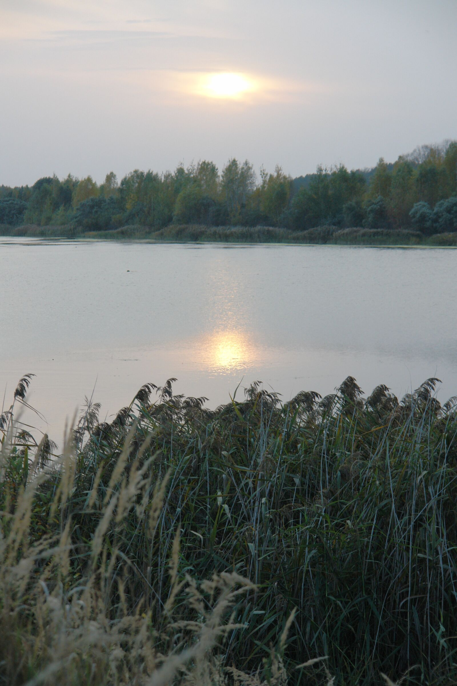 Sony DSC-R1 sample photo. Autumn, lake, sunset photography