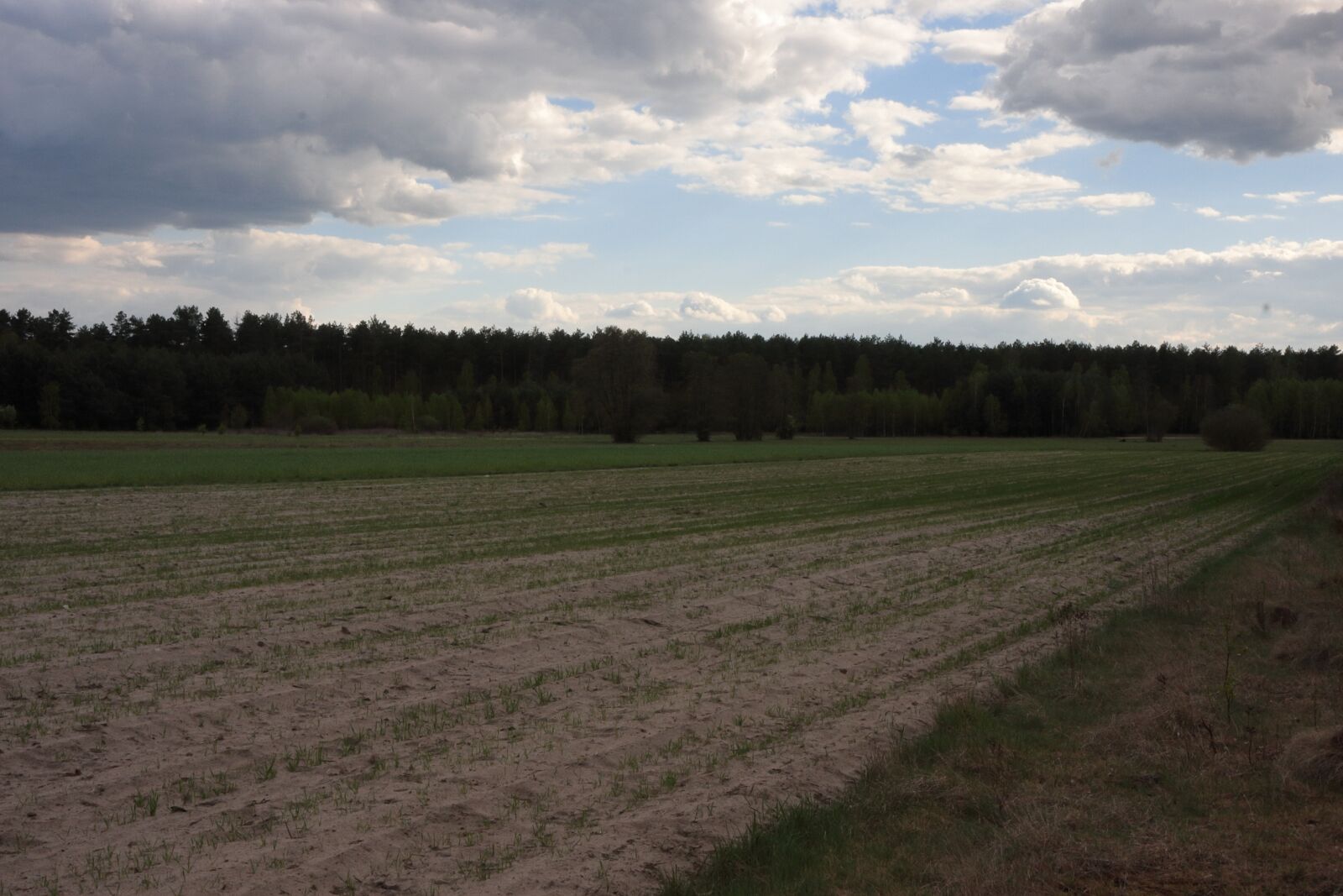Canon EOS 40D sample photo. Field, landscape, meadow photography