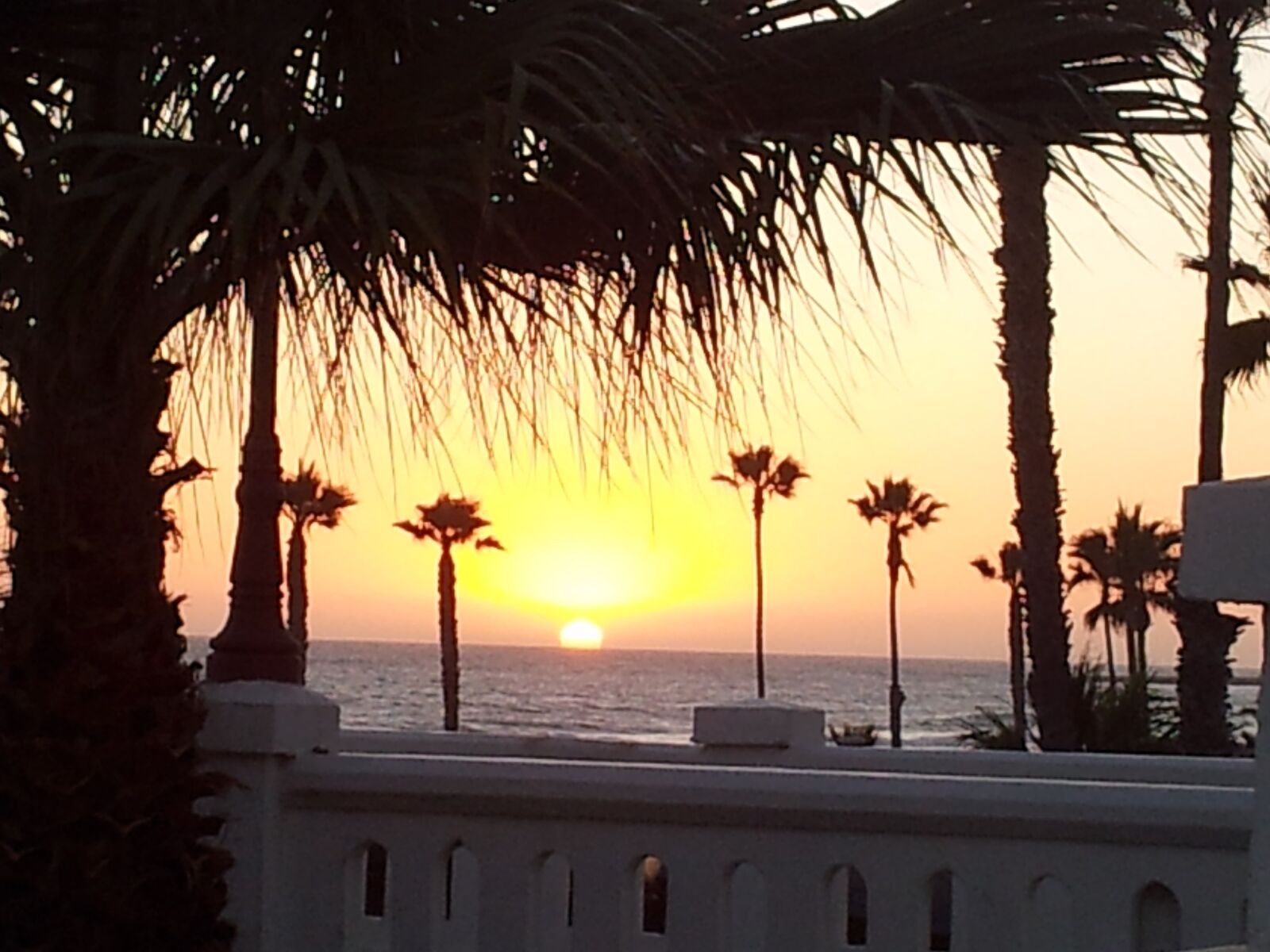 Samsung Galaxy S2 sample photo. California, oceanside, nature photography