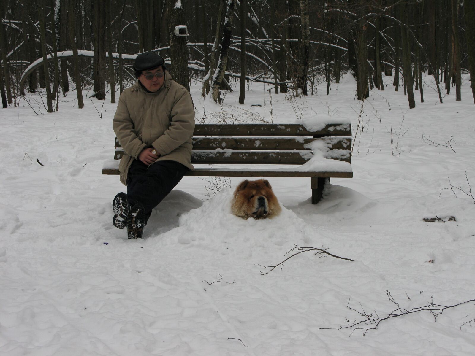 Canon POWERSHOT G9 sample photo. Dog, cooling, snow photography