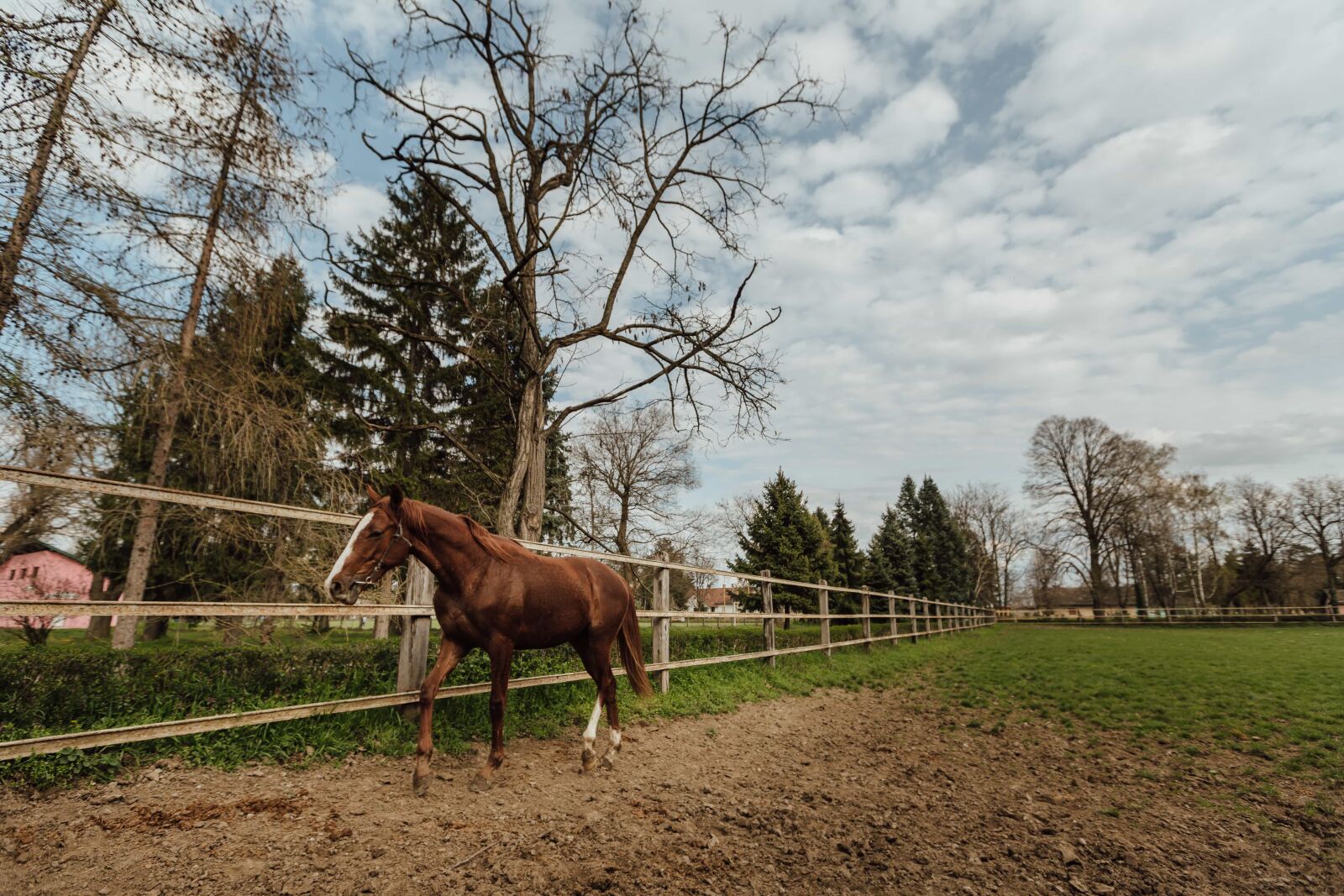 Canon EF 16-35mm F2.8L II USM sample photo. Ranch, resort, rural, animal photography