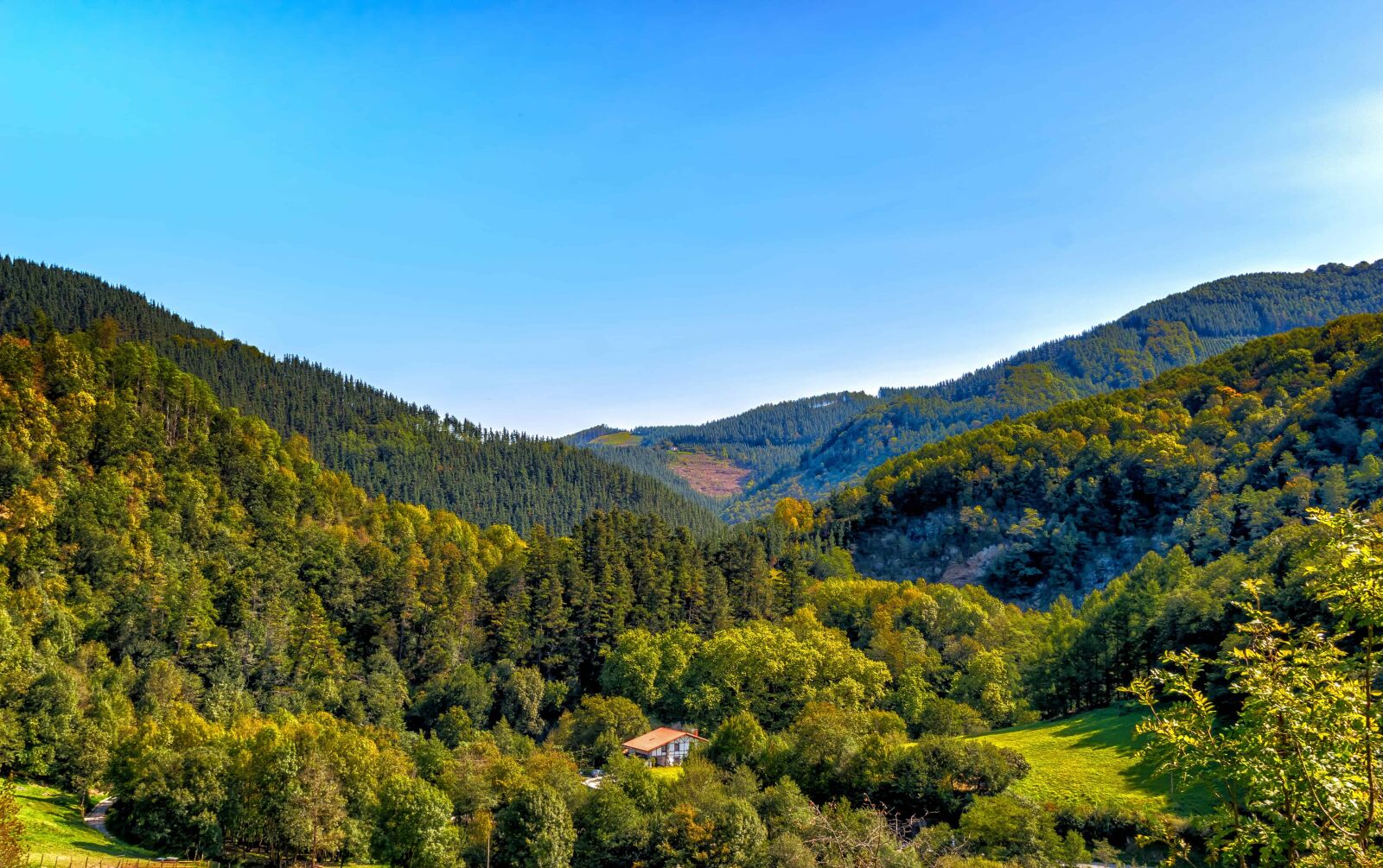 Nikon D3300 sample photo. Sky, nature, wood, mountain photography
