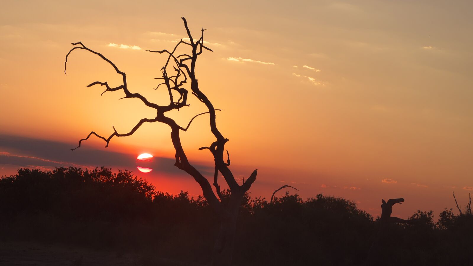 Panasonic Lumix DC-G9 sample photo. Sunset, chobe, africa photography