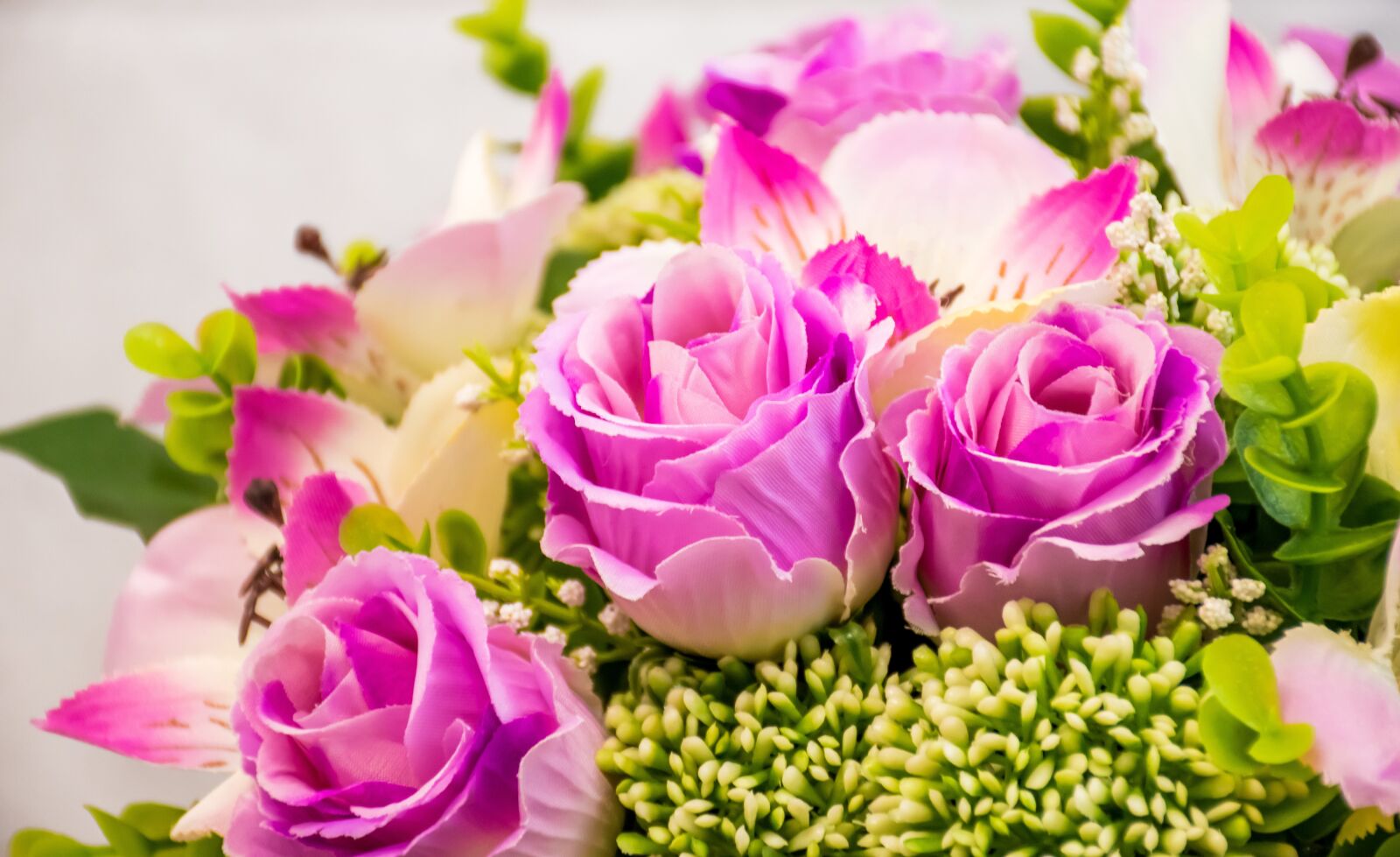 Nikon D5500 sample photo. Bloom, blossom, bouquet photography