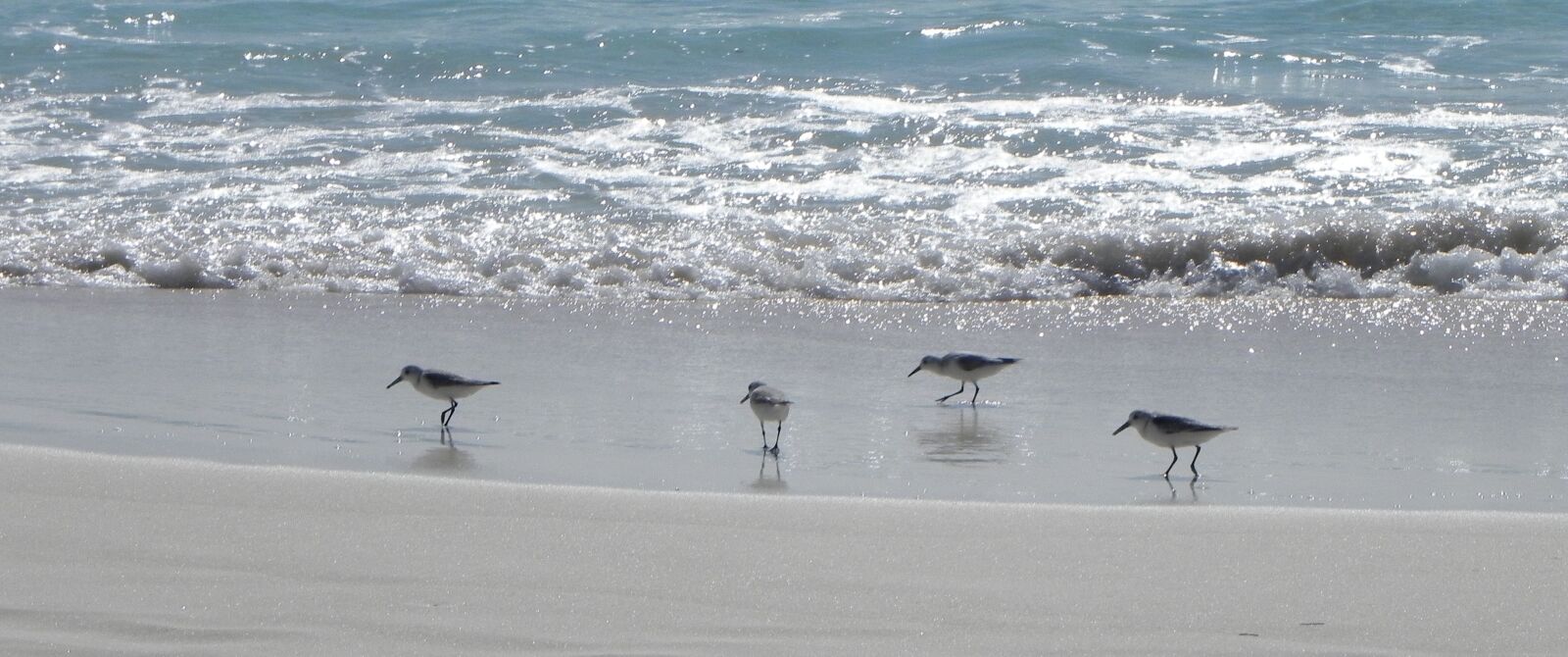 Nikon Coolpix P100 sample photo. Cuba, cayo largo, beach photography