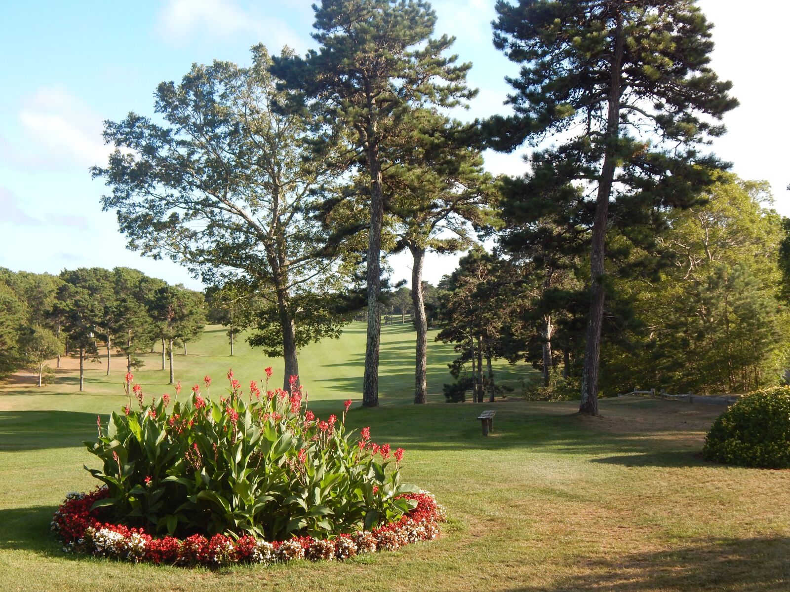 Nikon Coolpix L830 sample photo. Golf, sun, leisure photography