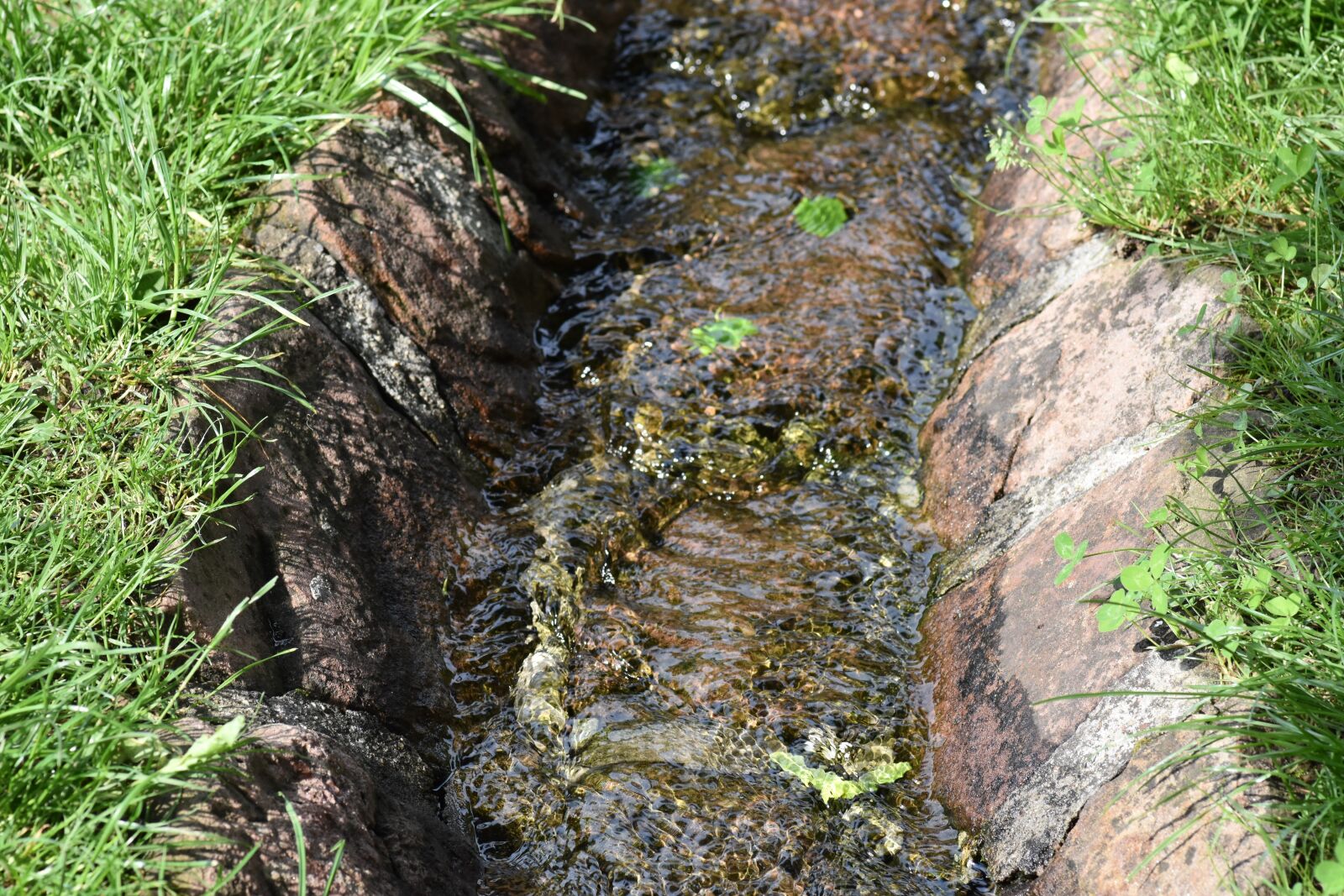 Nikon D7200 sample photo. Bach, watercourse, grass photography