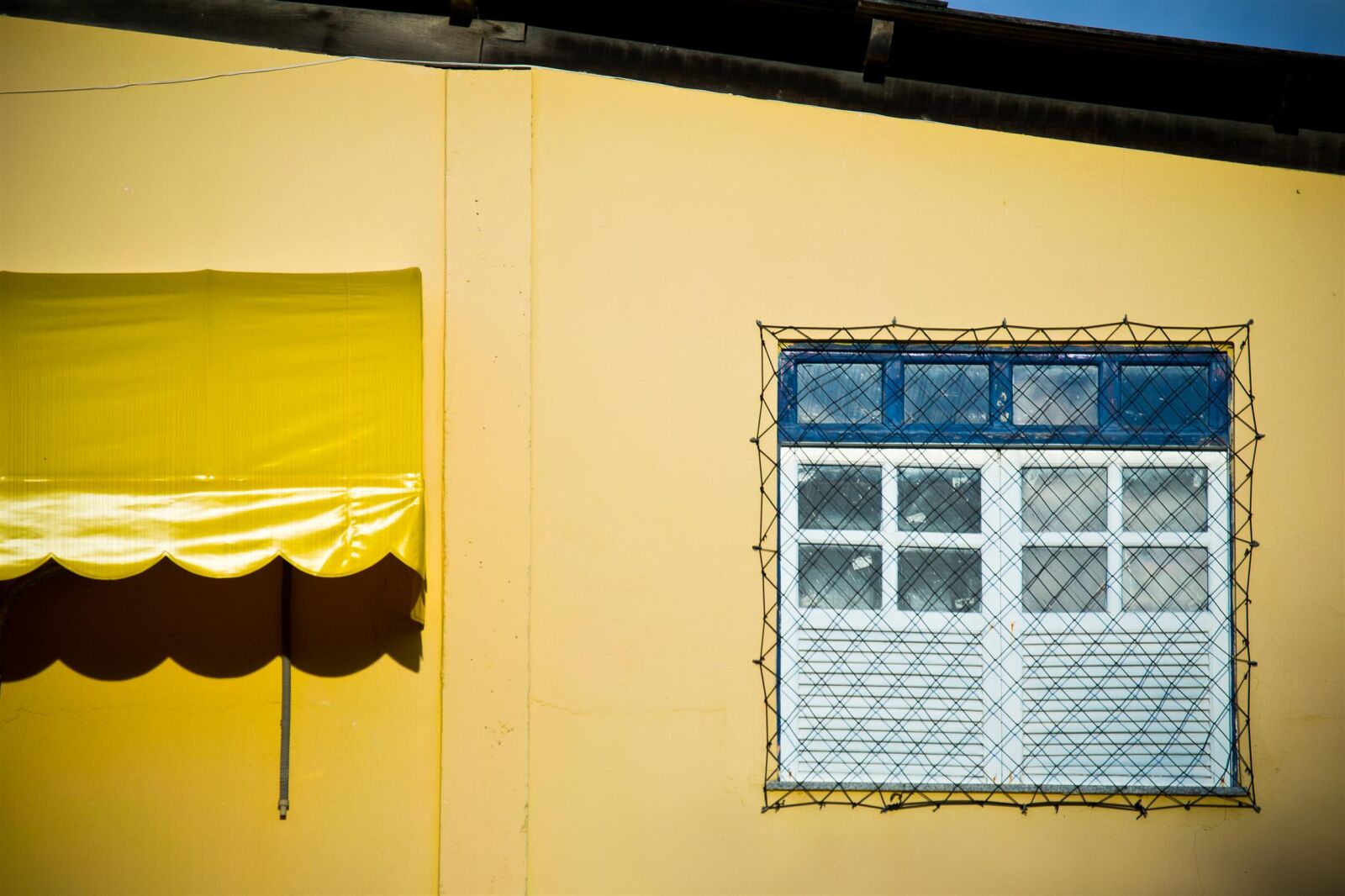 Nikon D3100 sample photo. Nikon, window, yellow photography